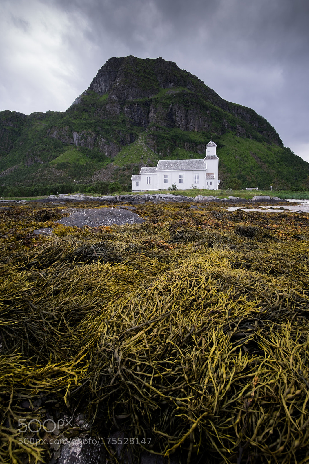 Fujifilm X-E2 sample photo. Beauty of lofoten archipelago photography