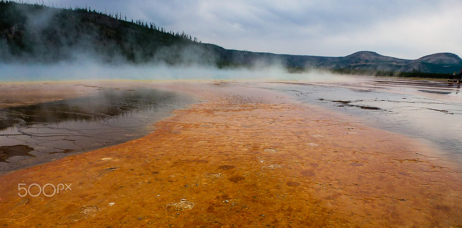 Panasonic DMC-ZS10 sample photo. Yellowstone photography