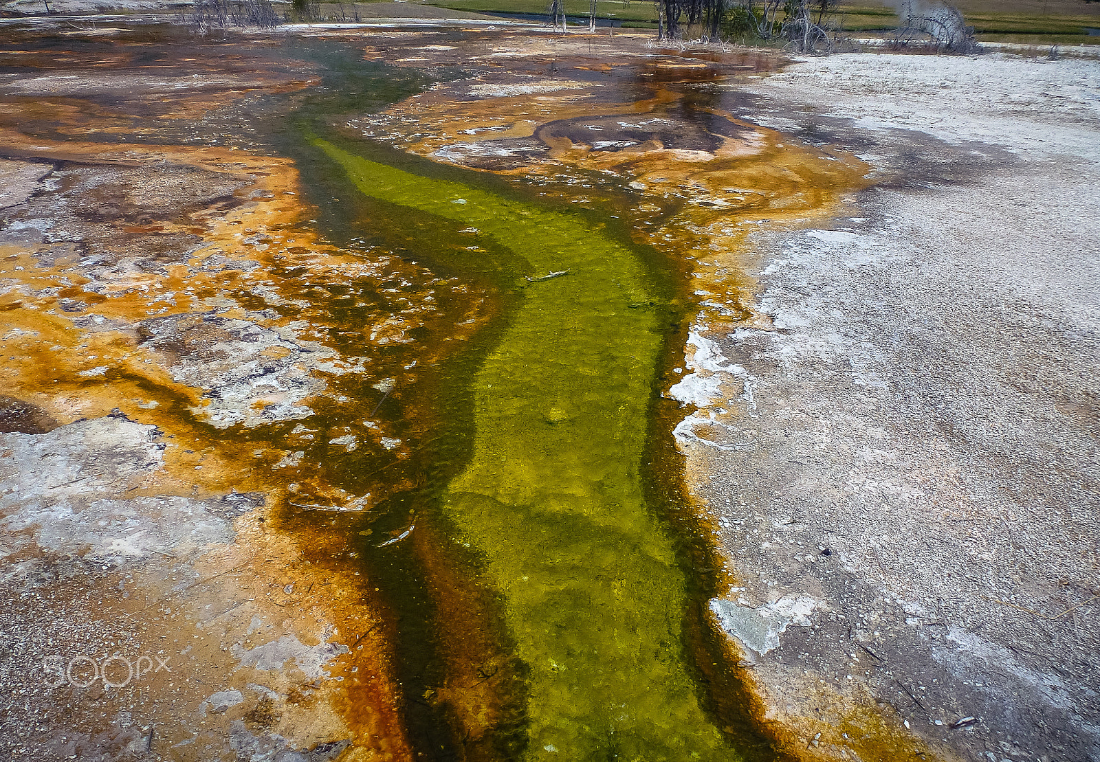 Panasonic DMC-ZS10 sample photo. Yellowstone photography