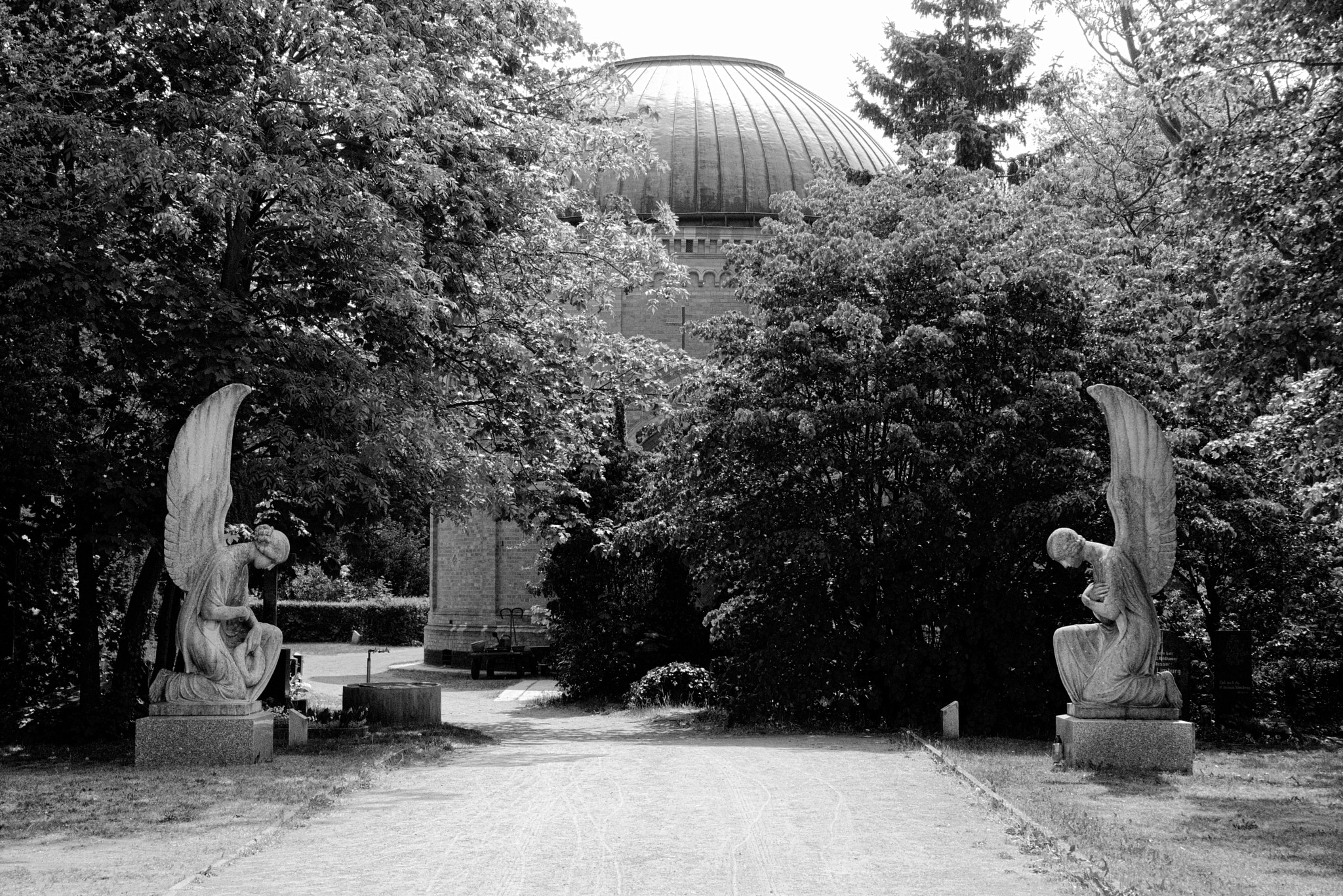 Nikon D600 sample photo. Cementery photography