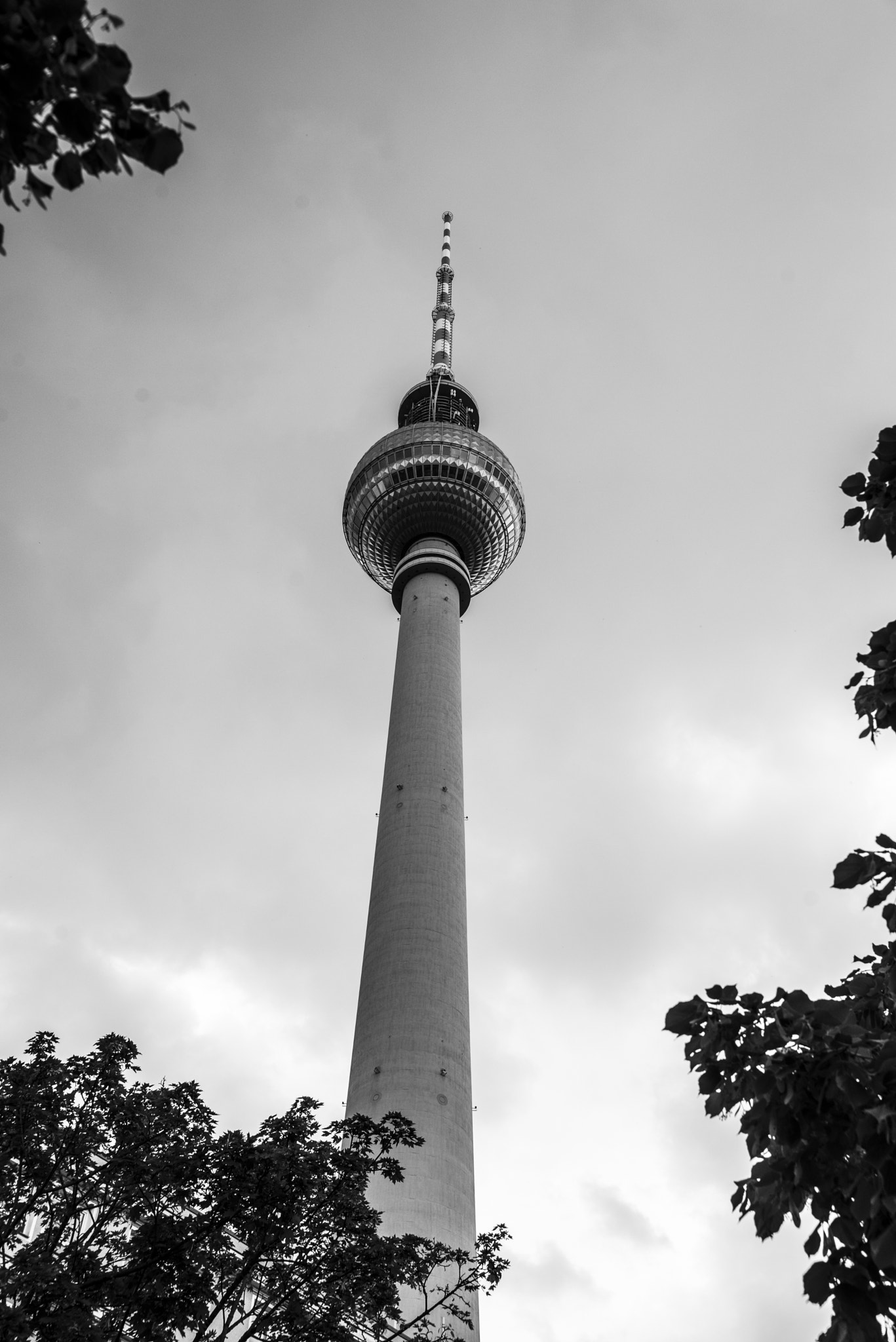 Nikon D600 sample photo. Television tower berlin photography