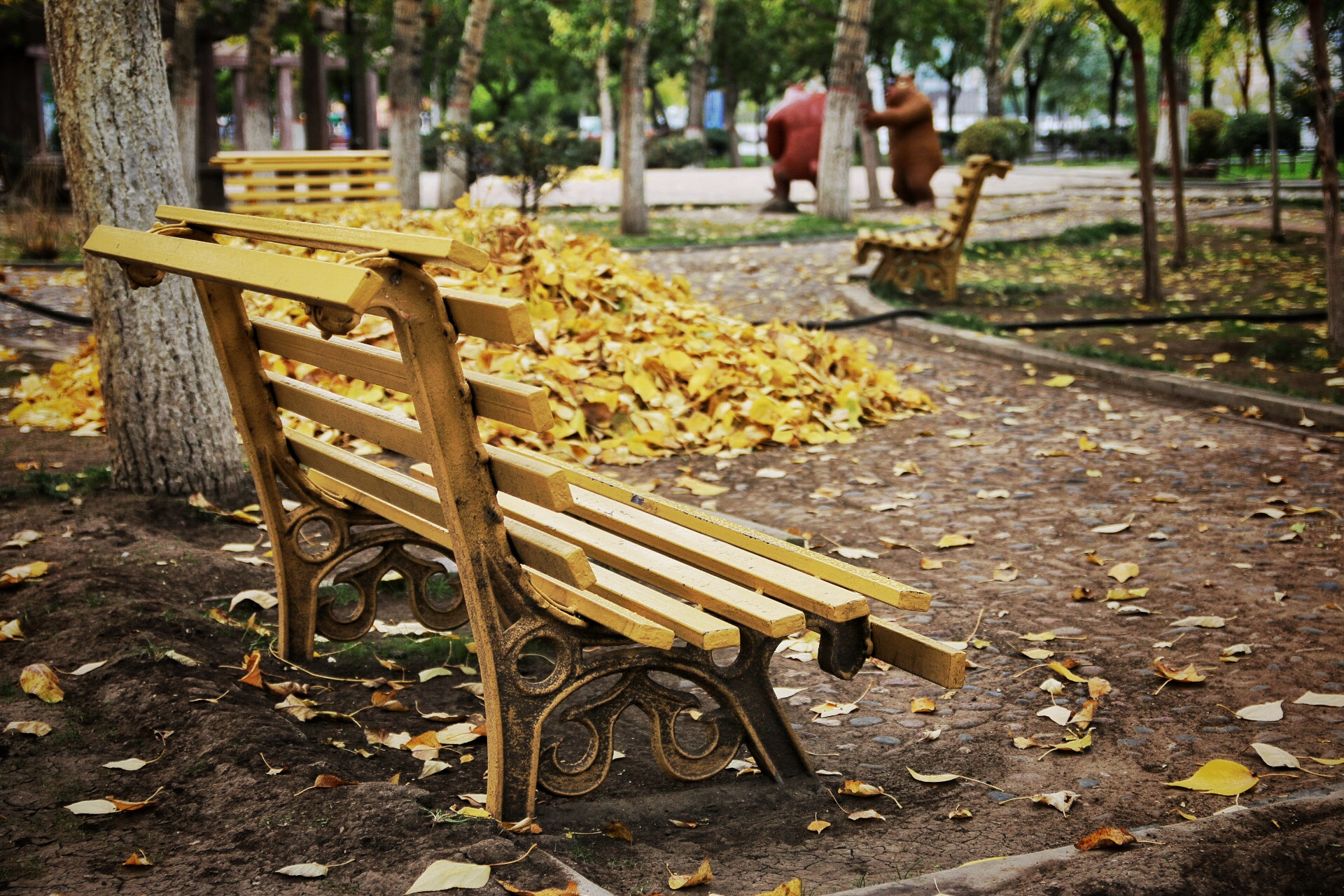 Canon 17-50mm sample photo. I need a girlfriend to sit in the chair , is there any volunteers ? photography