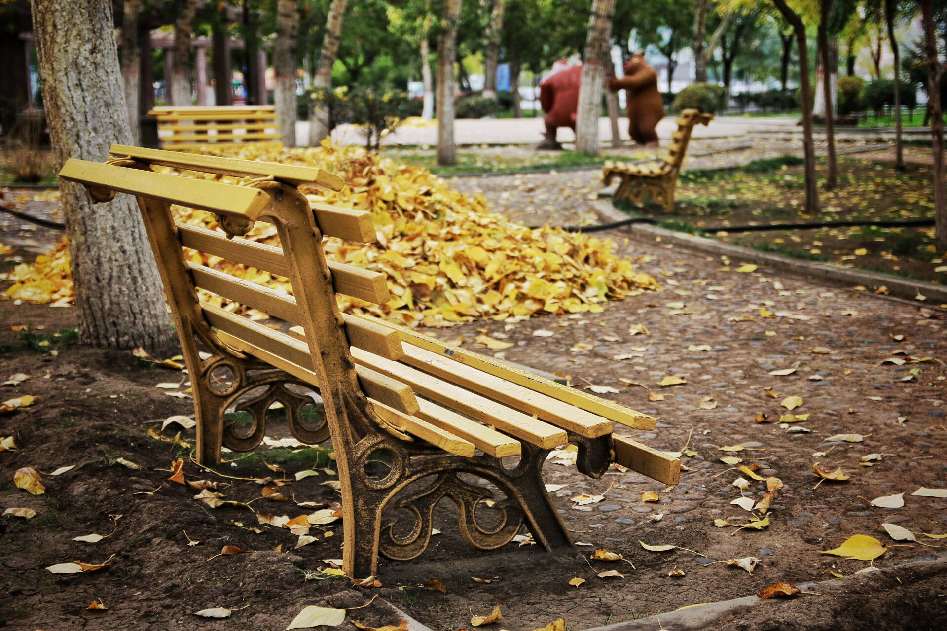 Canon EOS 70D sample photo. I need a girlfriend to sit in the chair , is there any volunteers ? photography