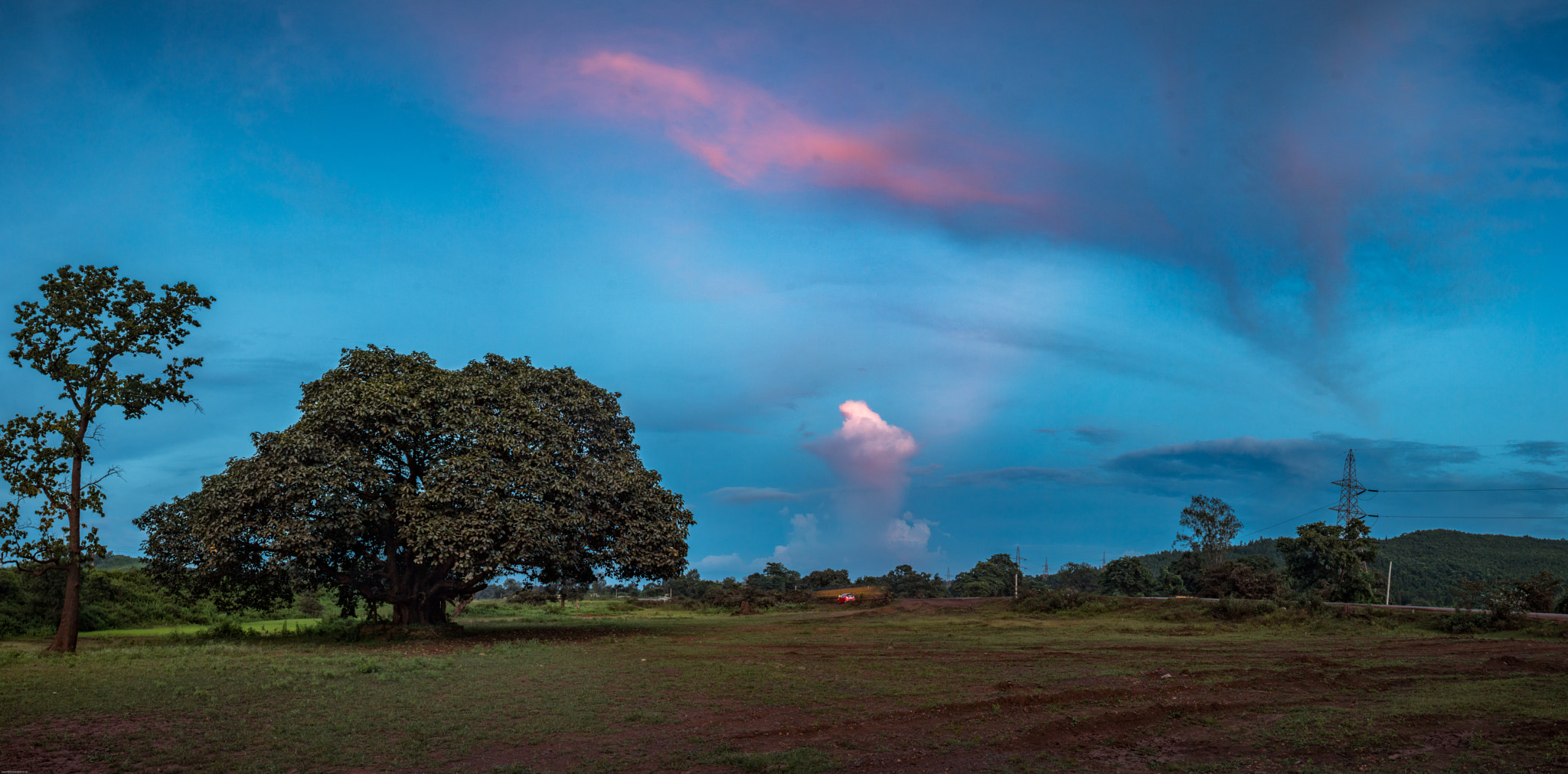 Canon EOS 750D (EOS Rebel T6i / EOS Kiss X8i) sample photo. The banyan tree photography