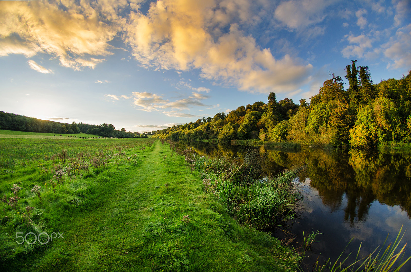 Nikon D7000 + Samyang 8mm F3.5 Aspherical IF MC Fisheye sample photo. Sunset along the river boyne at slane photography
