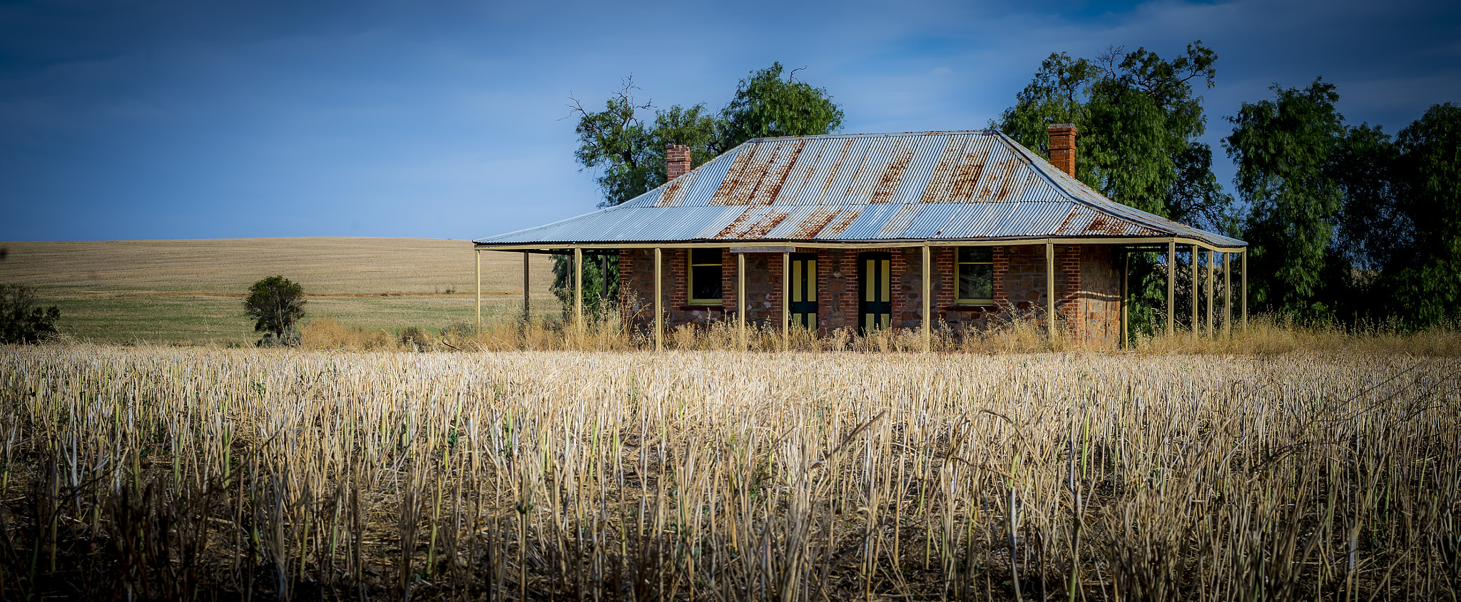 Nikon D4 sample photo. "enchanted post office " photography