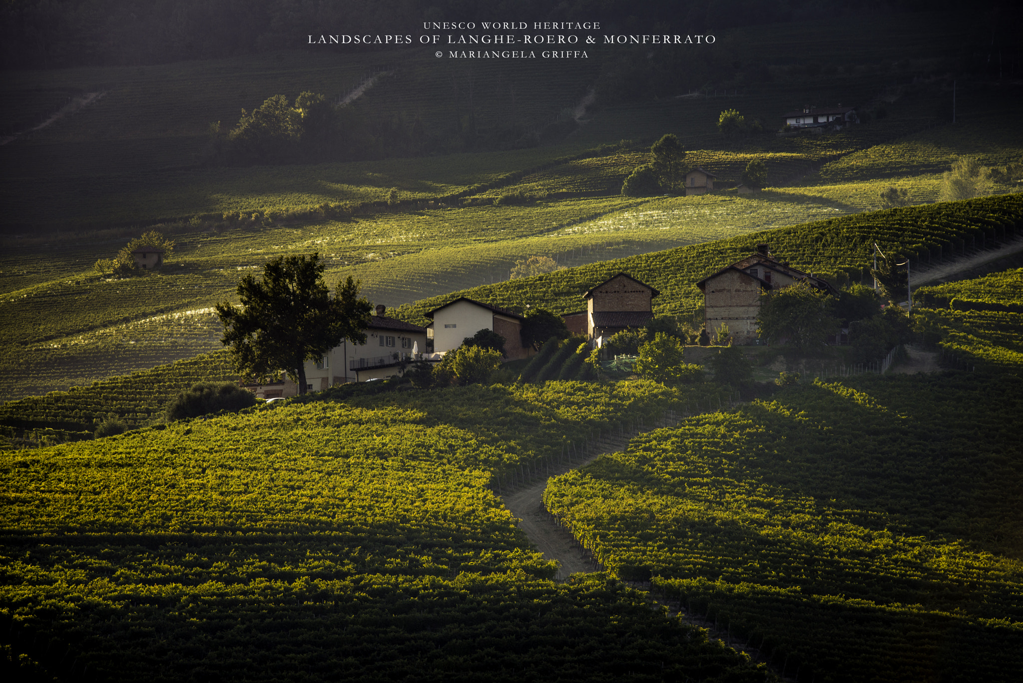 Nikon Nikkor AF-S 300mm F4E PF ED VR sample photo. Lights of langhe 1 photography