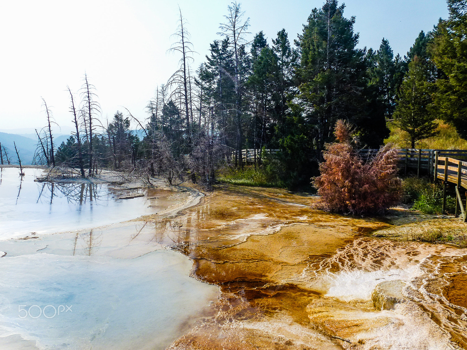 Panasonic DMC-ZS10 sample photo. Yellowstone photography