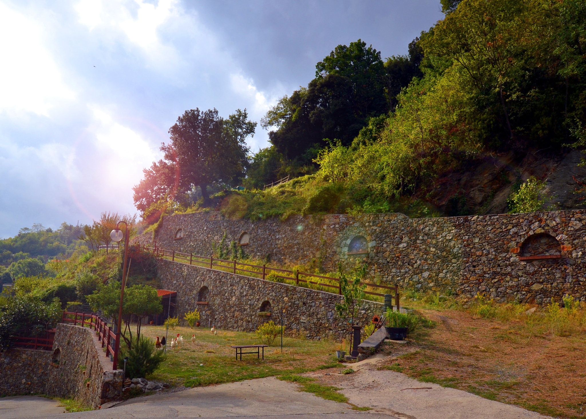 Nikon D3100 + Sigma 10-20mm F3.5 EX DC HSM sample photo. My farm photography