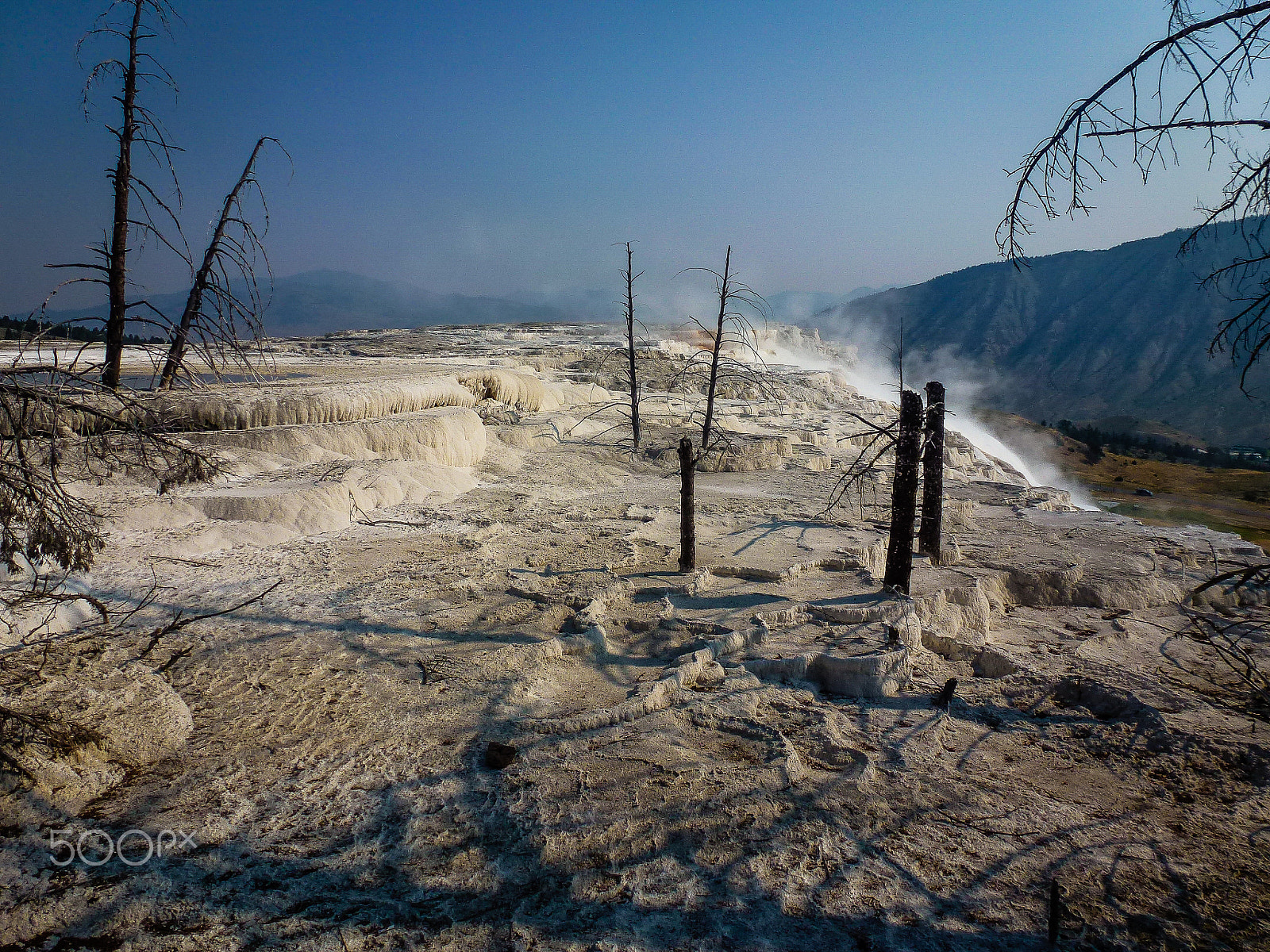 Panasonic DMC-ZS10 sample photo. Yellowstone photography