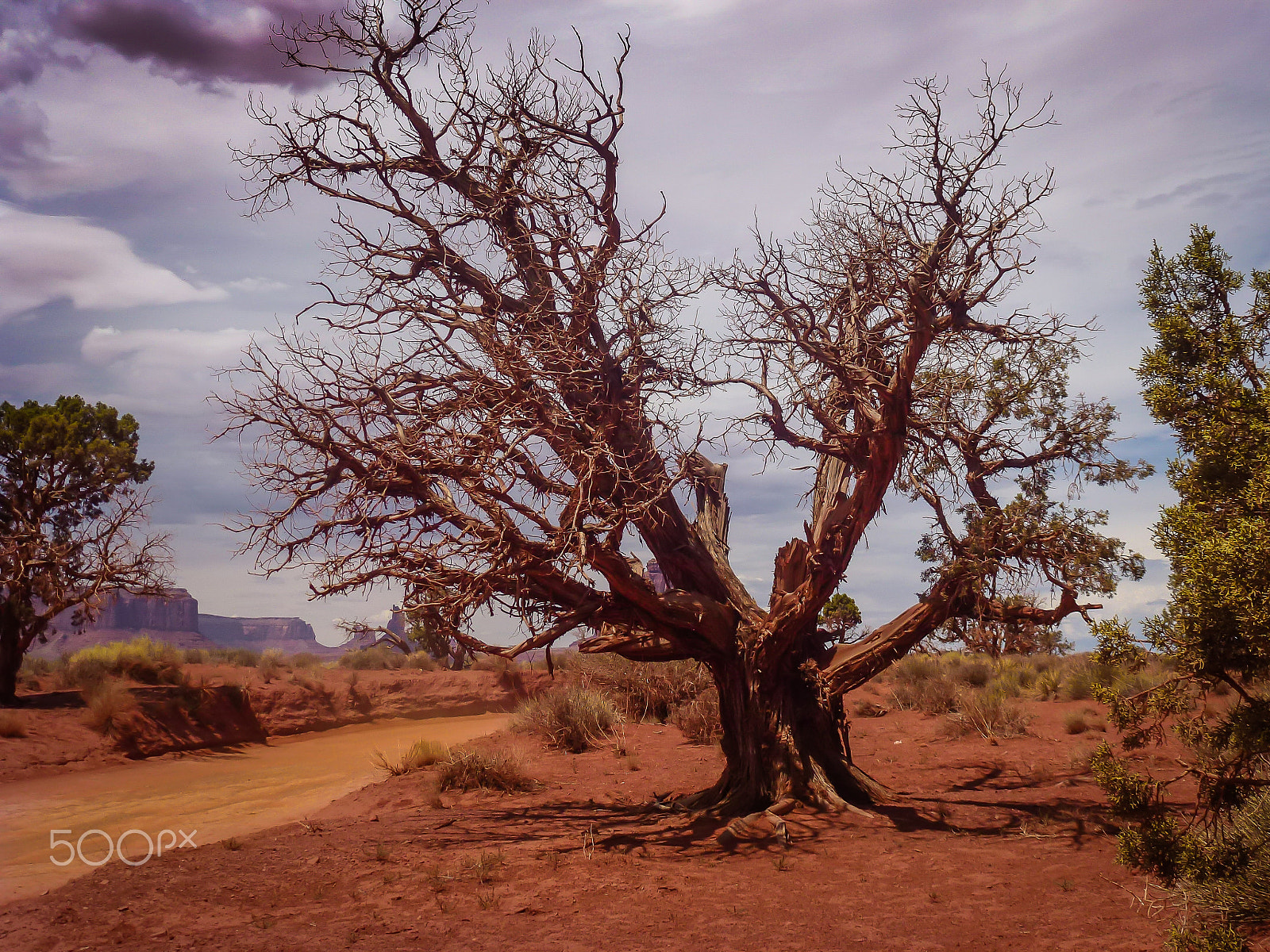 Panasonic DMC-ZS10 sample photo. Monument valley photography