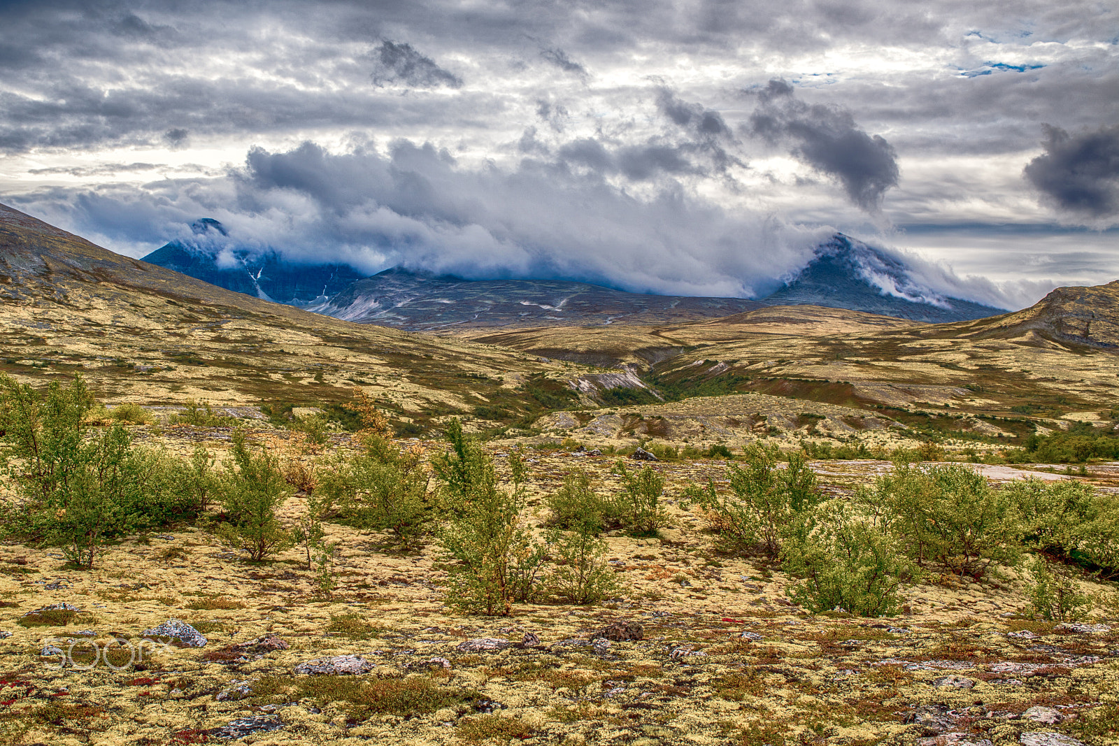 Nikon D810 + Nikon AF Nikkor 35mm F2D sample photo. "høgronden" covered photography