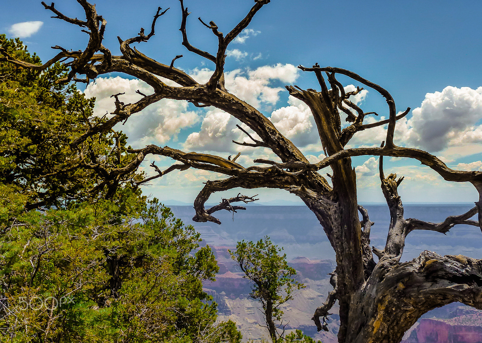 Panasonic DMC-ZS10 sample photo. Grand canyon photography