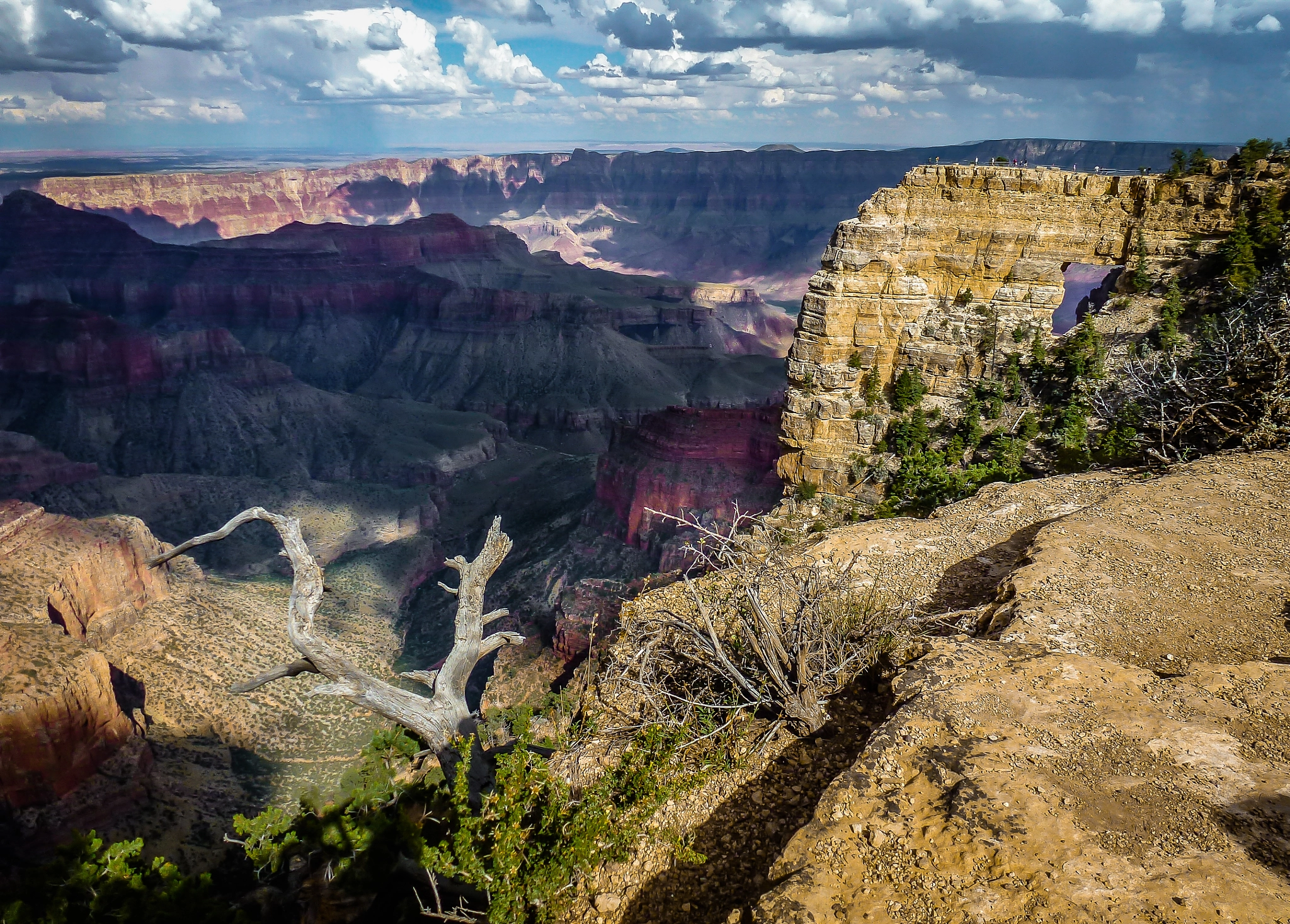 Panasonic DMC-ZS10 sample photo. Grand canyon north rim photography