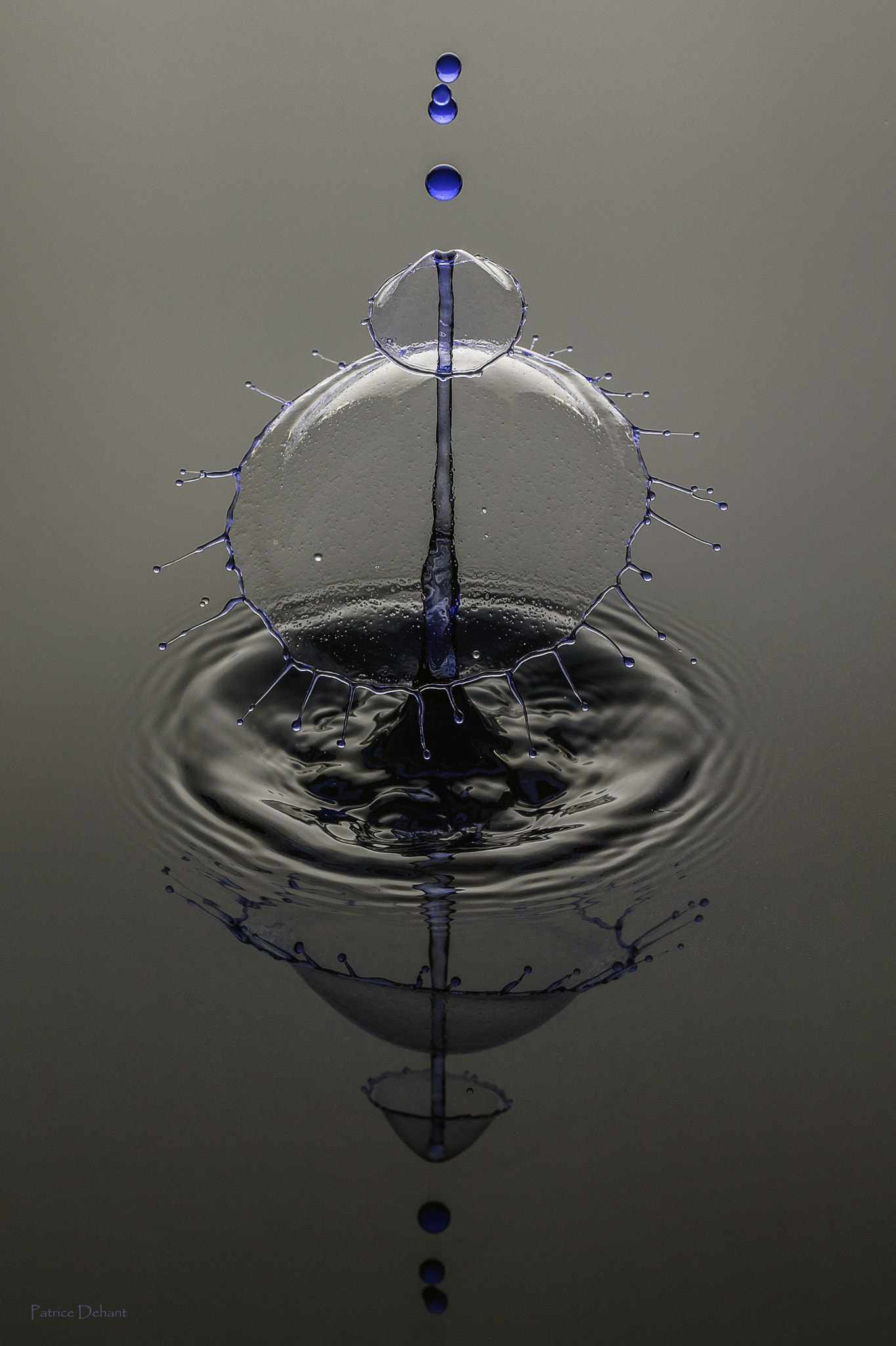 Canon EF 100mm F2.8L Macro IS USM sample photo. Blue drops photography