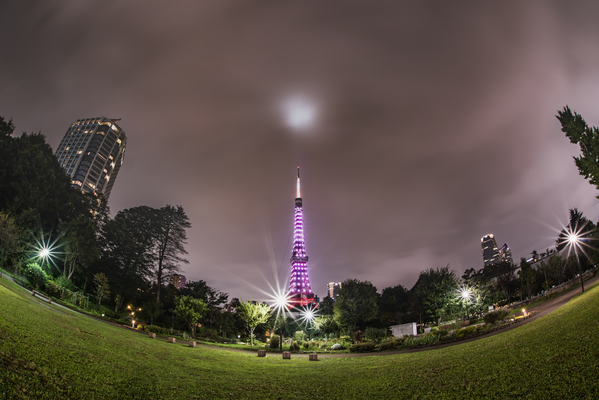 Nikon D810 + Sigma 15mm F2.8 EX DG Diagonal Fisheye sample photo. Tokyo night park photography