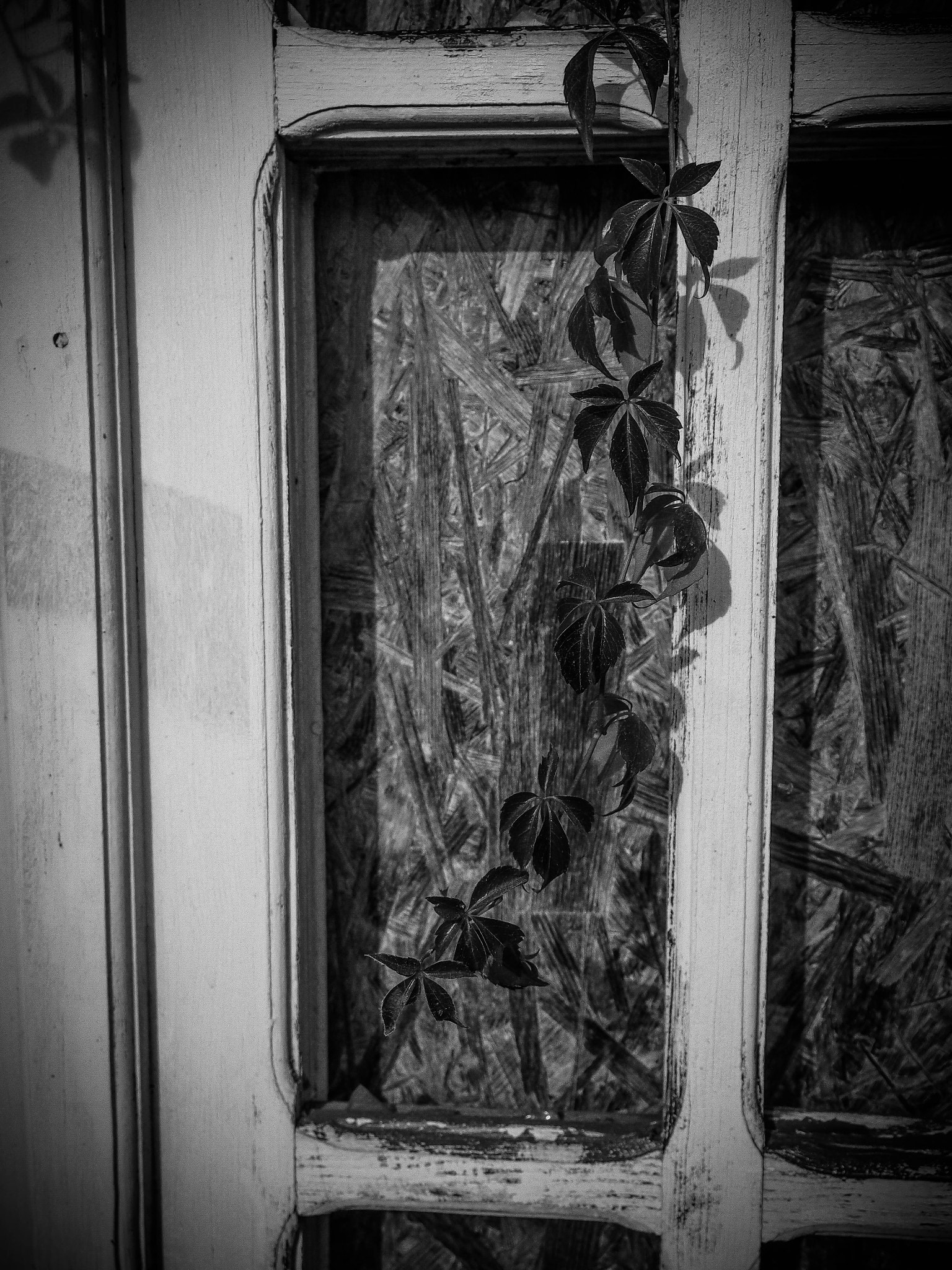 Olympus M.Zuiko Digital 14-42mm F3.5-5.6 II R sample photo. Old window photography