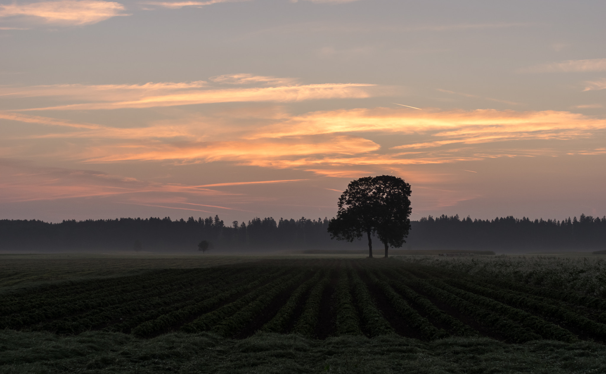 Pentax K-3 II sample photo. September morning photography