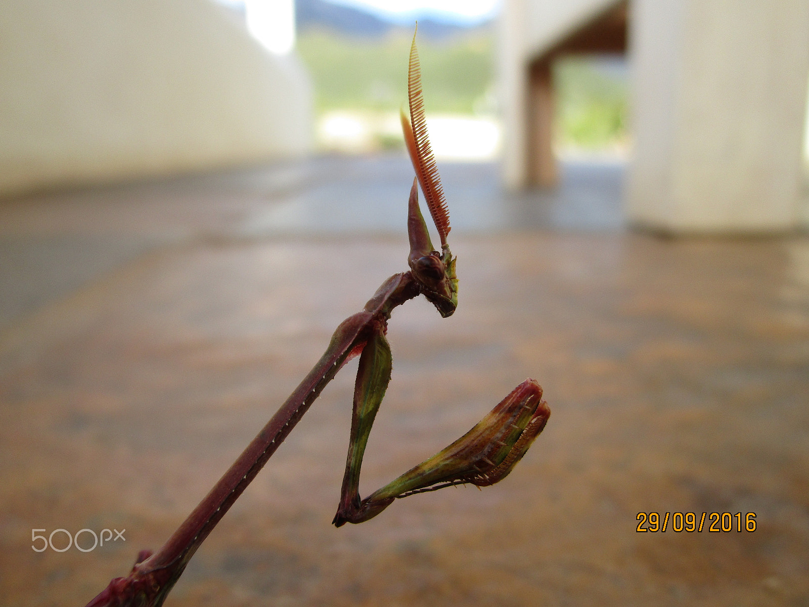 Canon PowerShot ELPH 190 IS (IXUS 180 / IXY 190) sample photo. Img photography