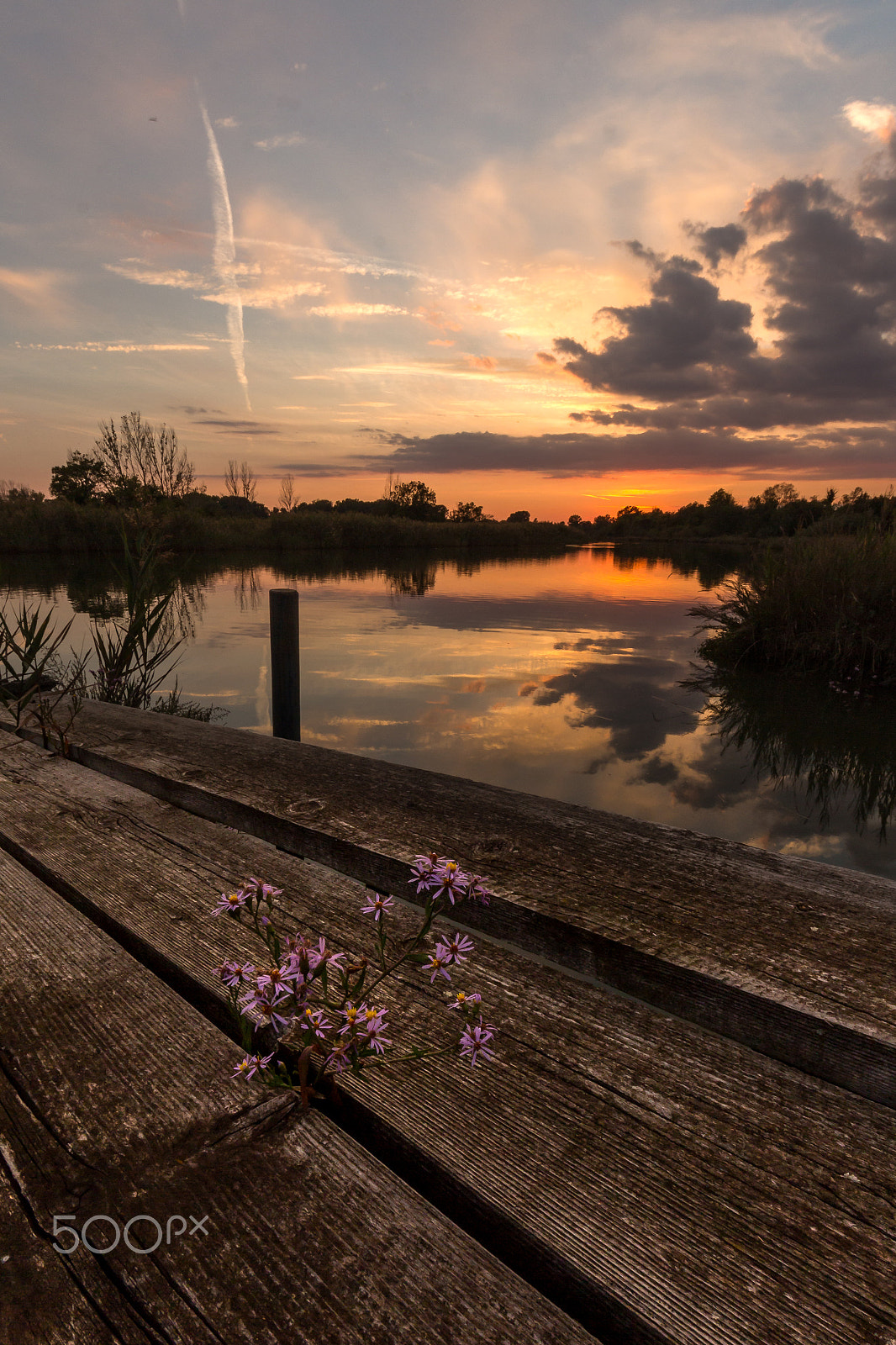 Sigma 8-16mm F4.5-5.6 DC HSM sample photo. Nature is coming back photography