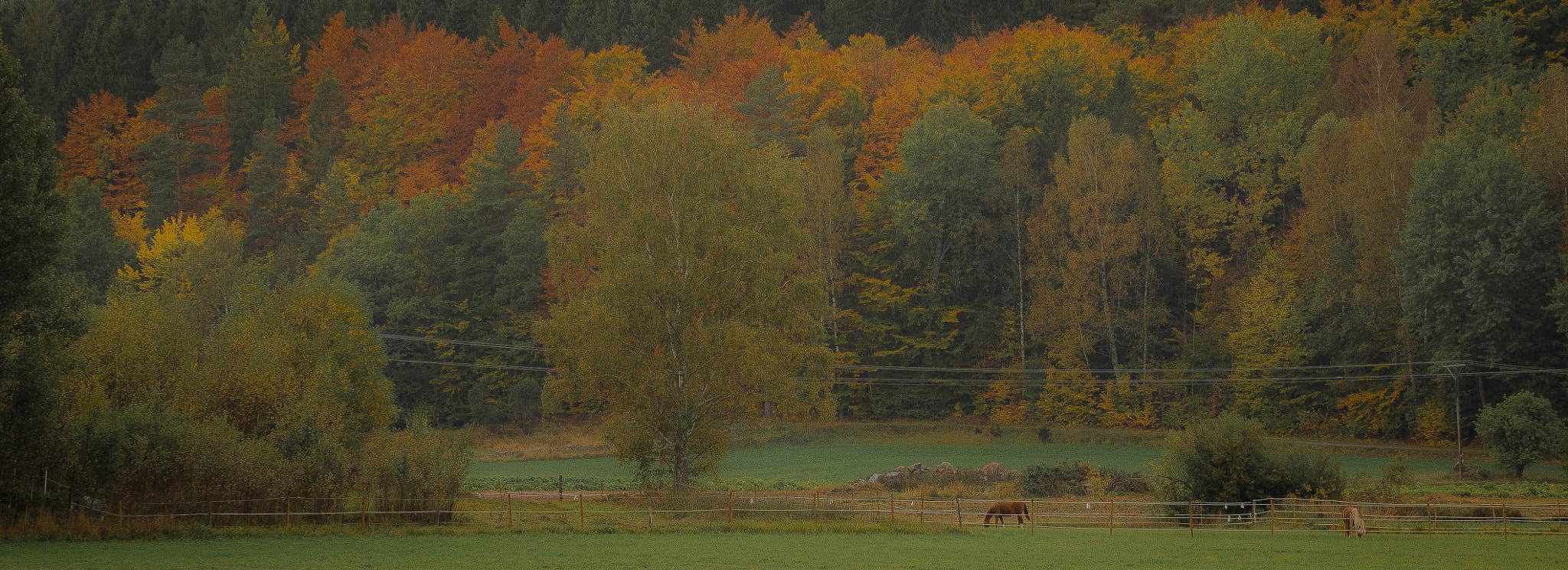 Sony a7S sample photo. Home photography