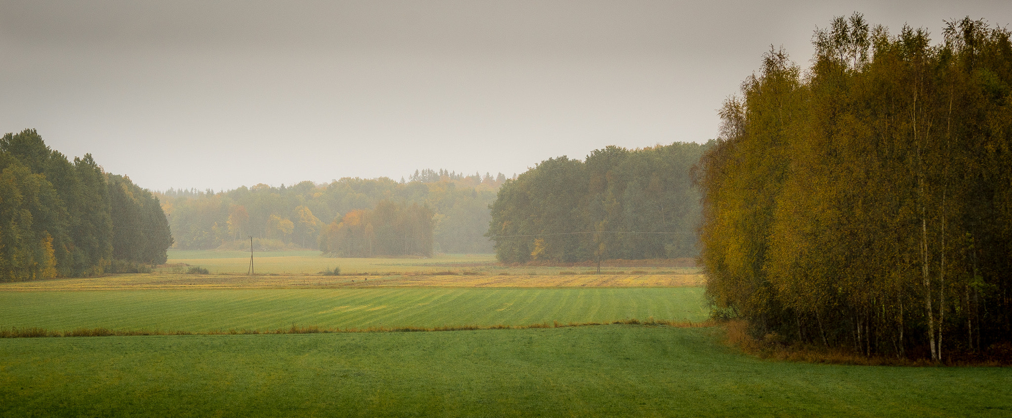 Sony a7S + Sony FE 70-200mm F4 G OSS sample photo. Home ii photography