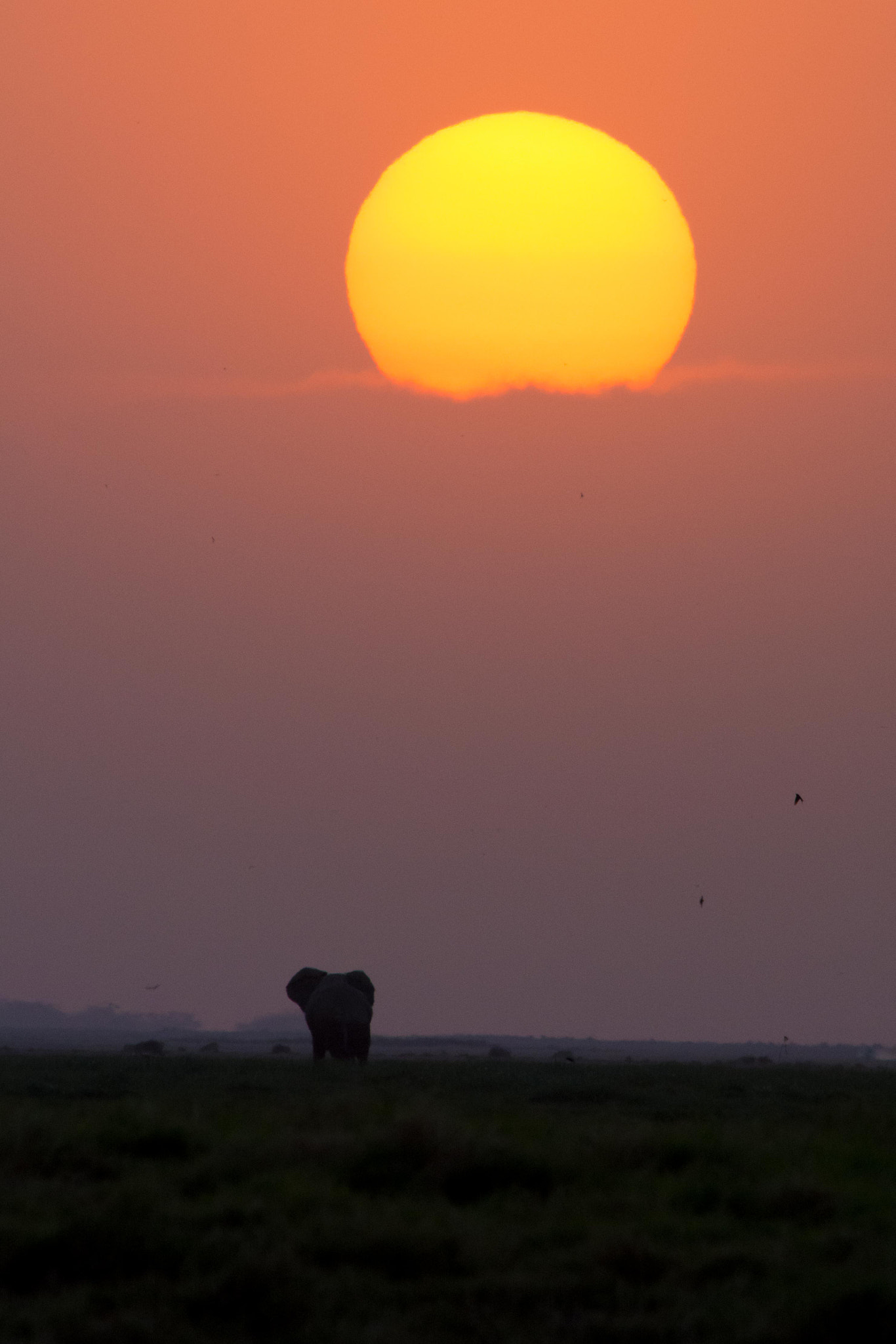 Nikon D7100 sample photo. Walking to sunset photography