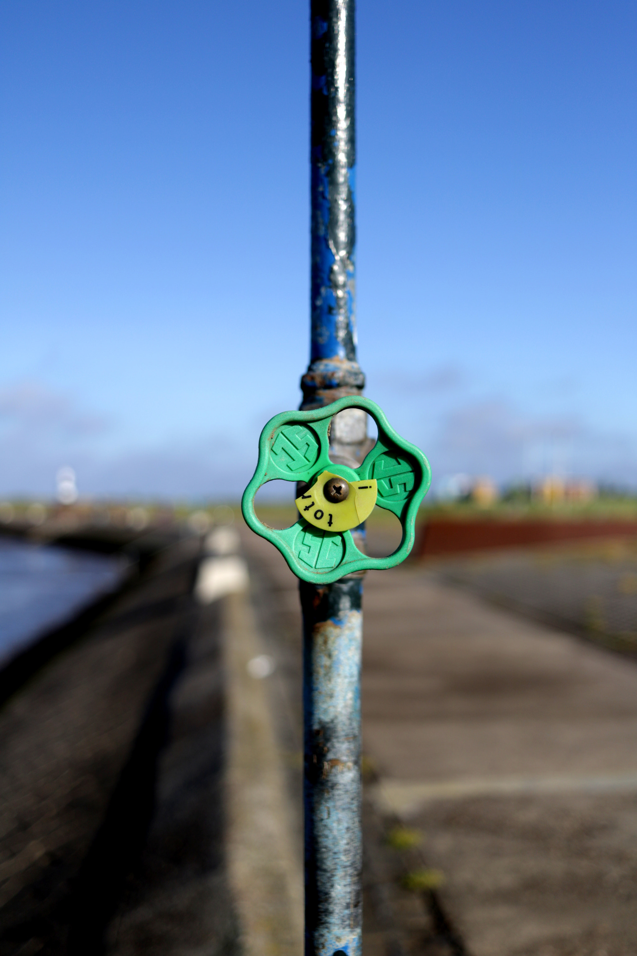 Canon EF-S 24mm F2.8 STM sample photo. A plumbers flower photography