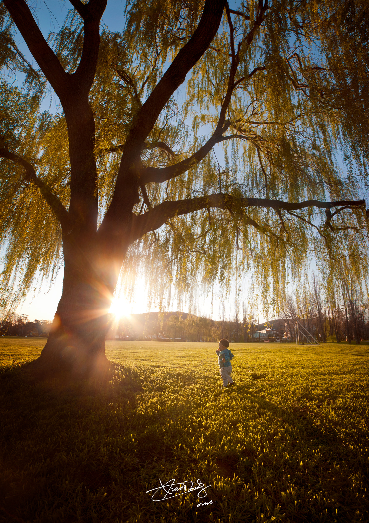 Samyang 14mm F2.8 ED AS IF UMC sample photo. 副本 photography