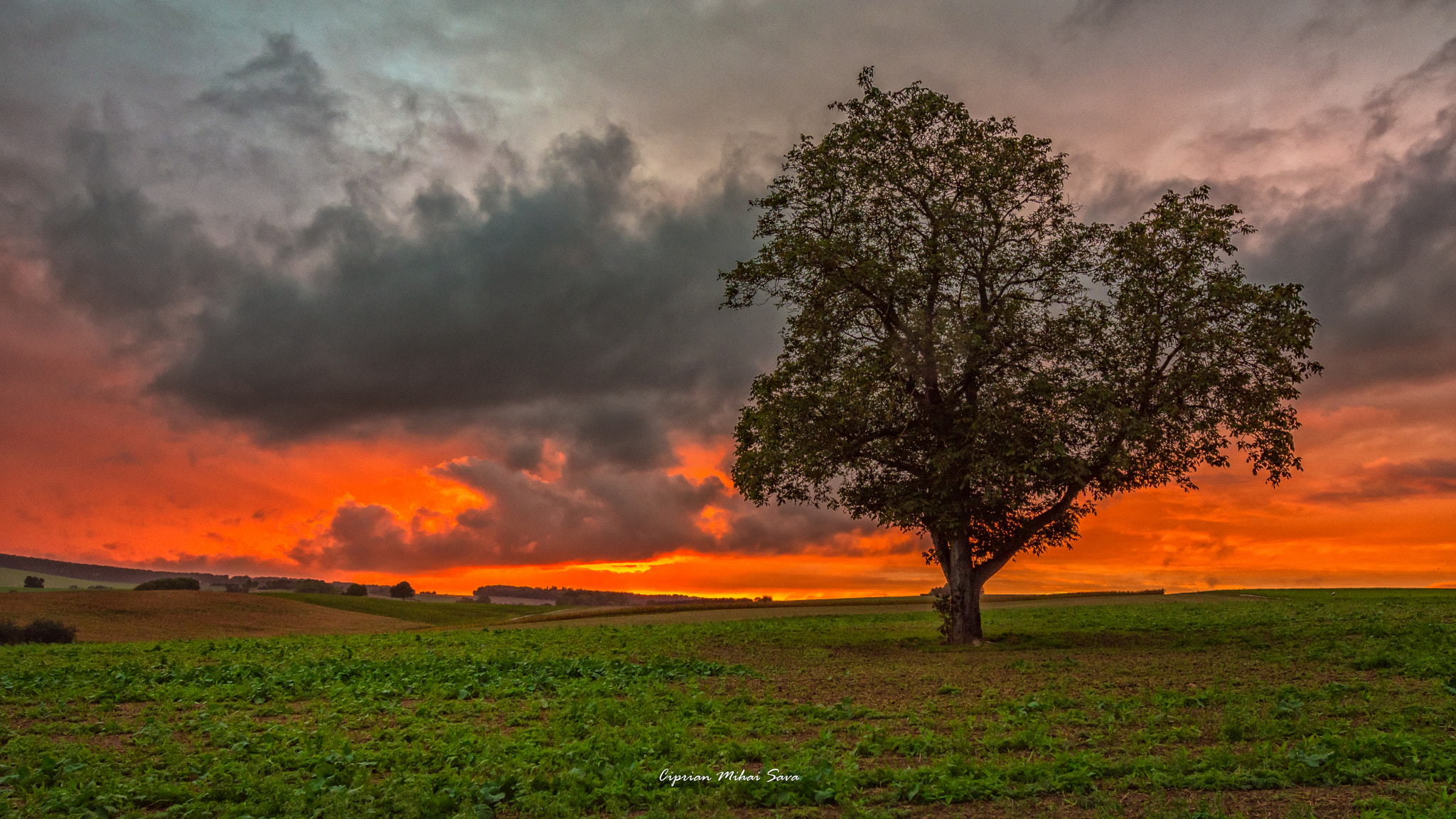 Tamron SP 15-30mm F2.8 Di VC USD sample photo. Another view of red sunset photography