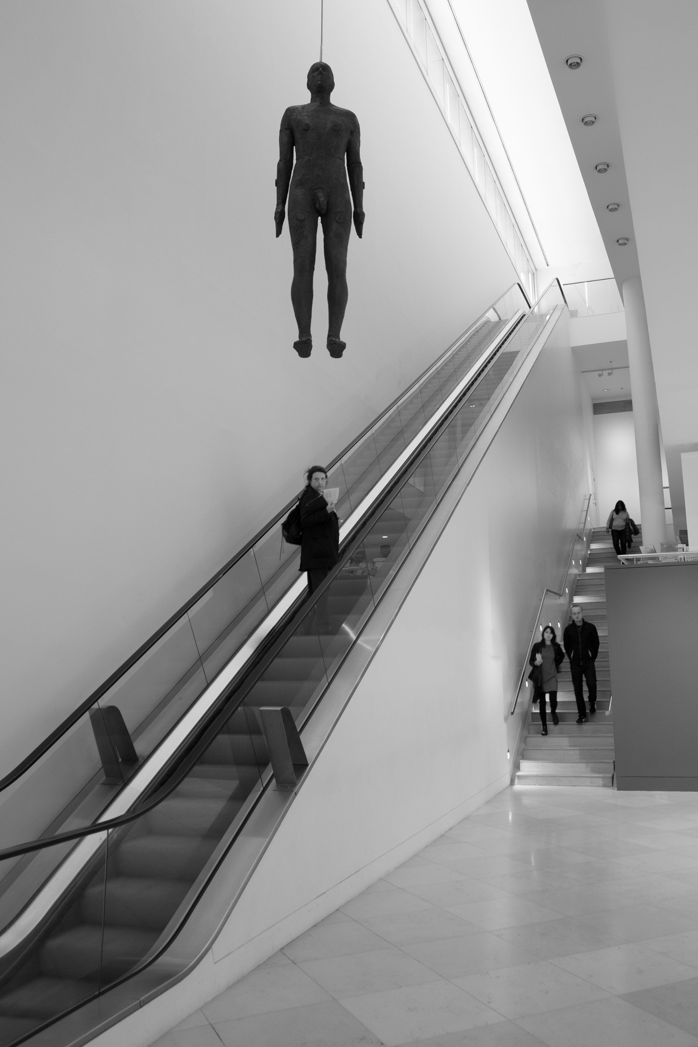 Sigma 17-50mm F2.8 EX DC HSM sample photo. Invisibly hanging photography