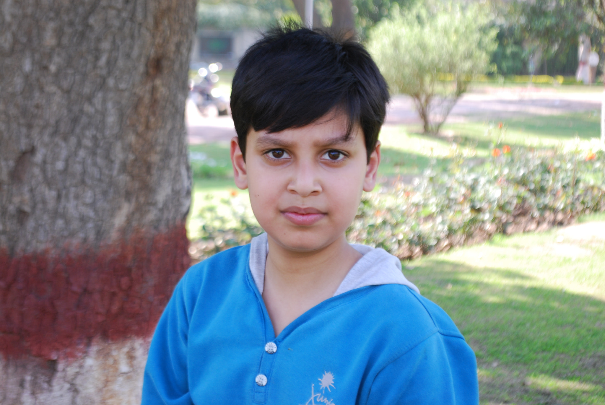 Nikon D40X sample photo