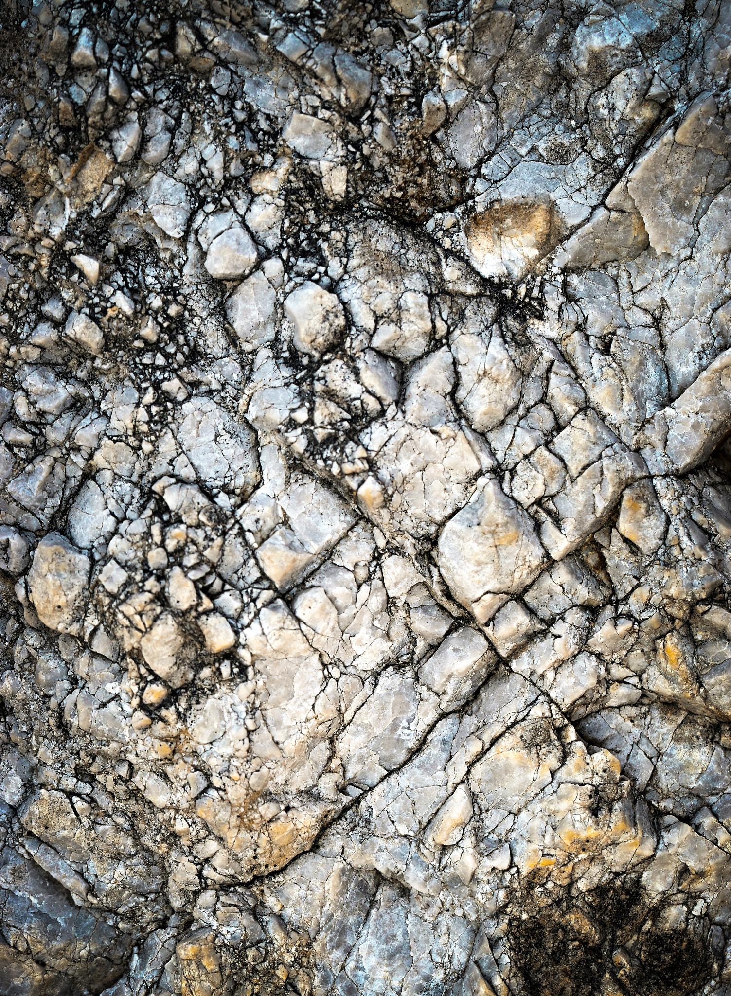 Nikon D5500 sample photo. Cracked limestone quartz rock photography
