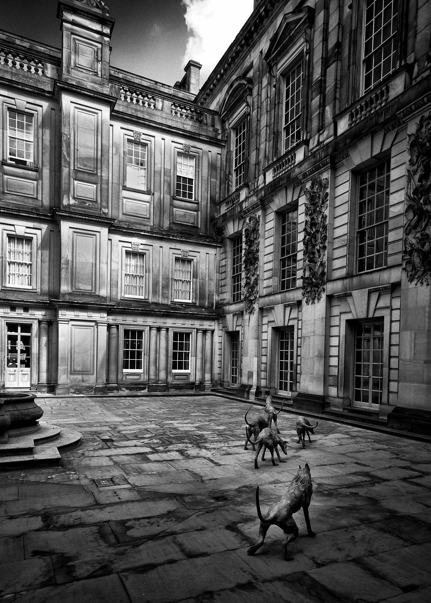 Sigma 10-20mm F4-5.6 EX DC HSM sample photo. Hounds unleashed photography