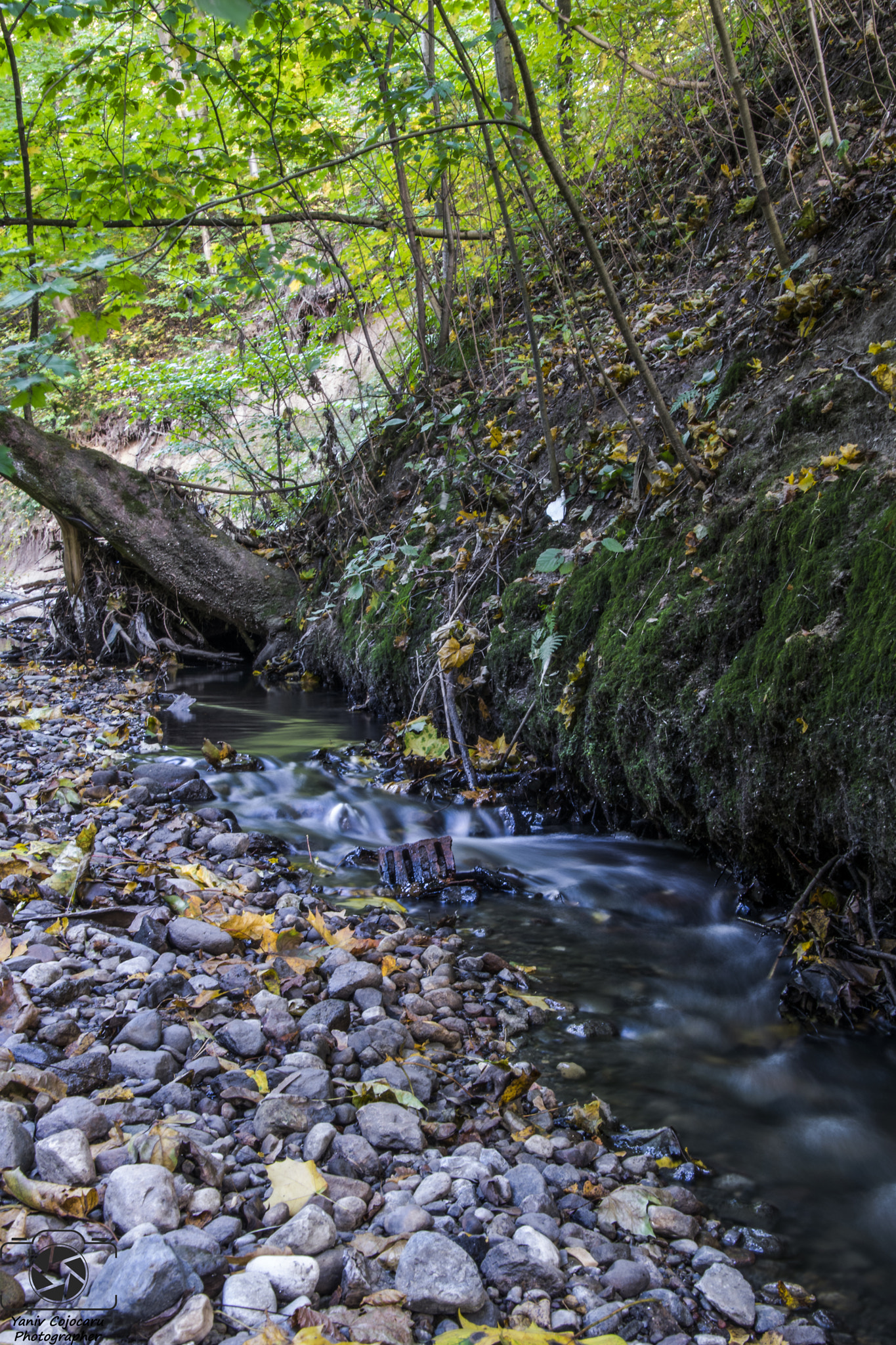 Nikon D3300 + Tamron 18-270mm F3.5-6.3 Di II VC PZD sample photo. Let the water flow photography