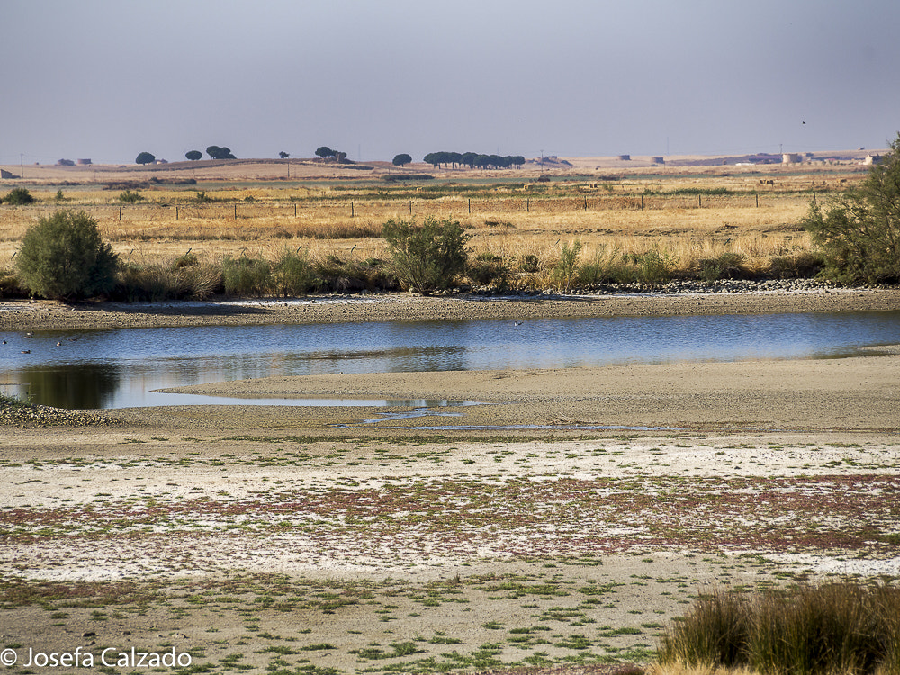 Tamron 14-150mm F3.5-5.8 Di III sample photo. Reserva natural lagunas de villafafila, olynpus em photography