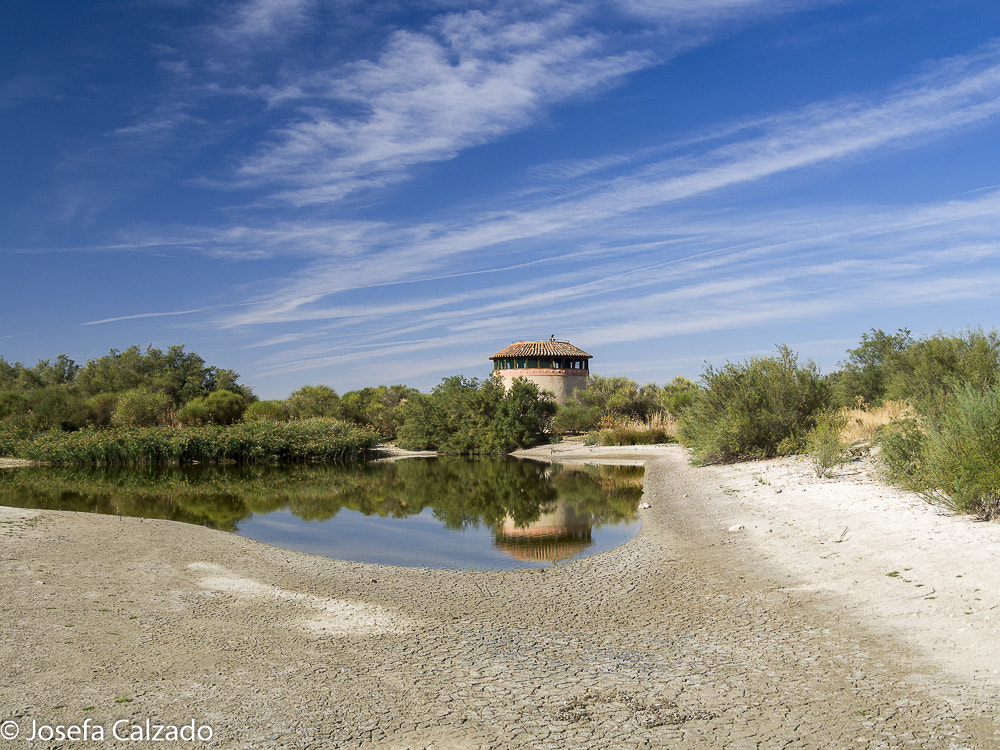 Olympus OM-D E-M10 sample photo. Reserva natural lagunas de villafafila, olynpus em photography