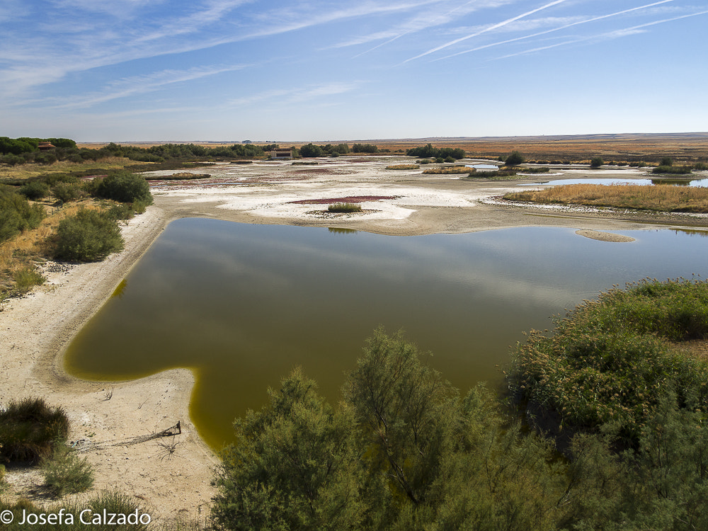 Olympus OM-D E-M10 sample photo. Reserva natural lagunas de villafafila, olynpus em photography