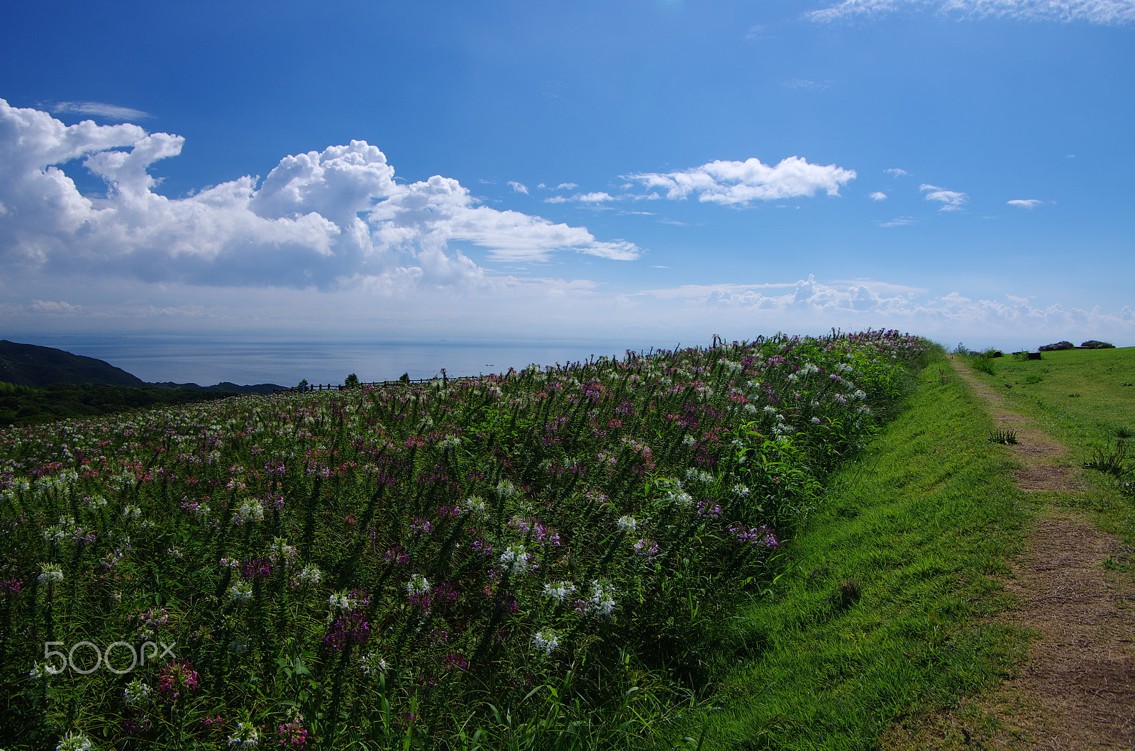 Pentax K-5 IIs sample photo. Beyond the sea photography