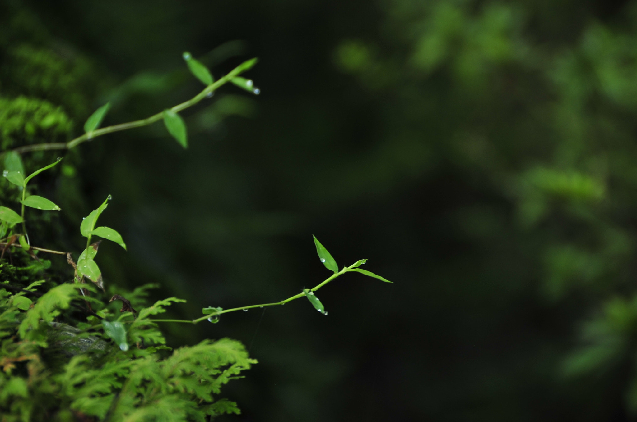 Nikon D3 sample photo. .. photography