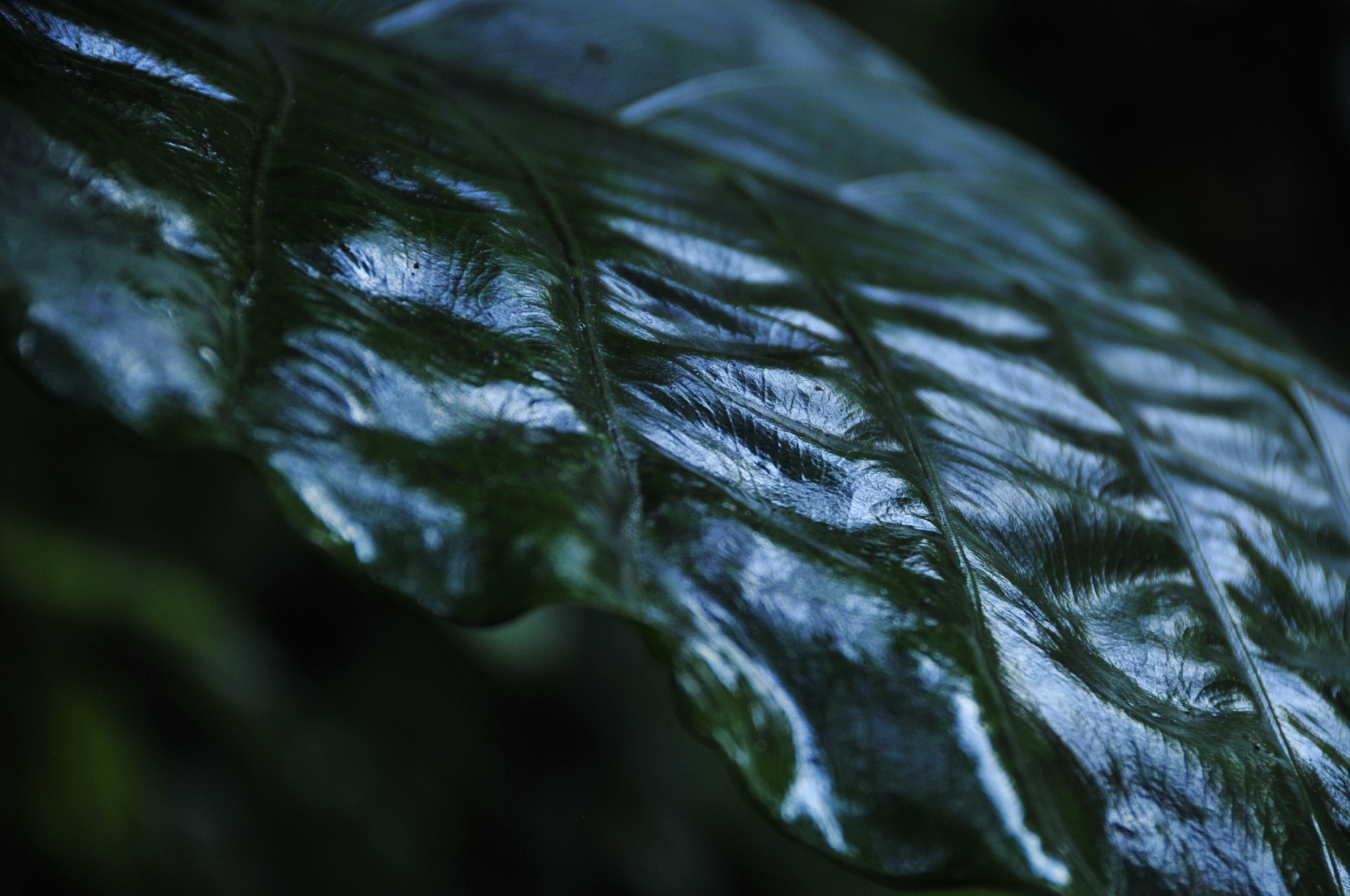 Nikon D3 sample photo. .. photography