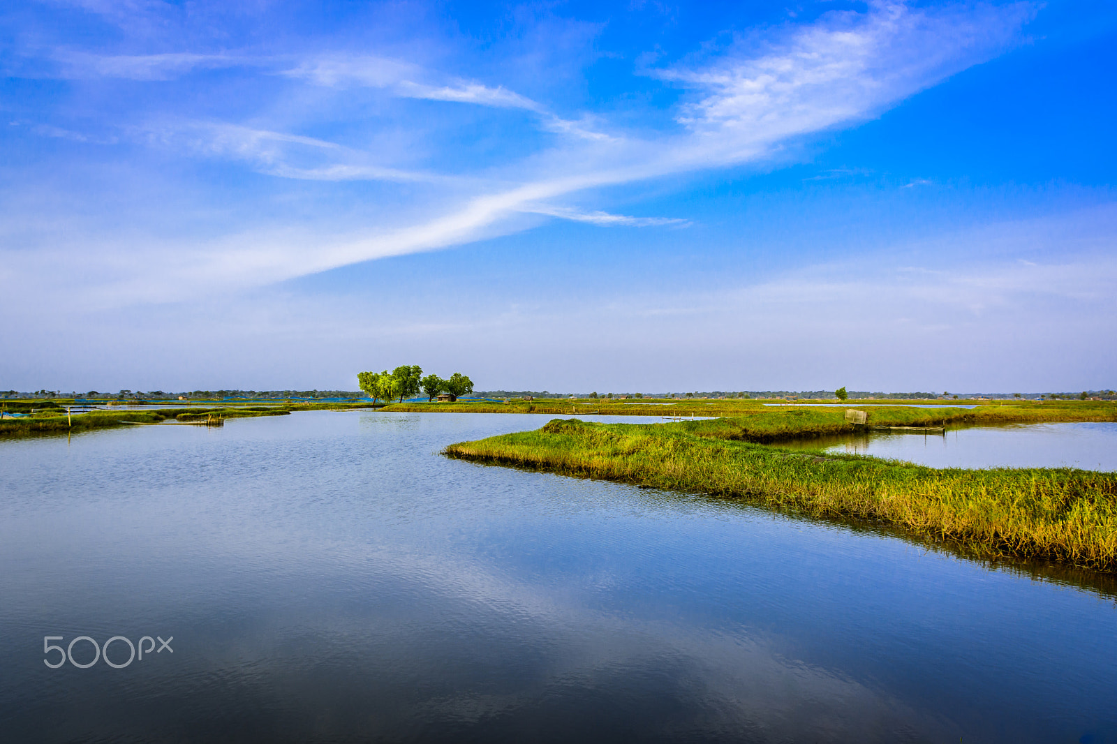 Sigma 17-70mm F2.8-4 DC Macro OS HSM | C sample photo. Nature photography