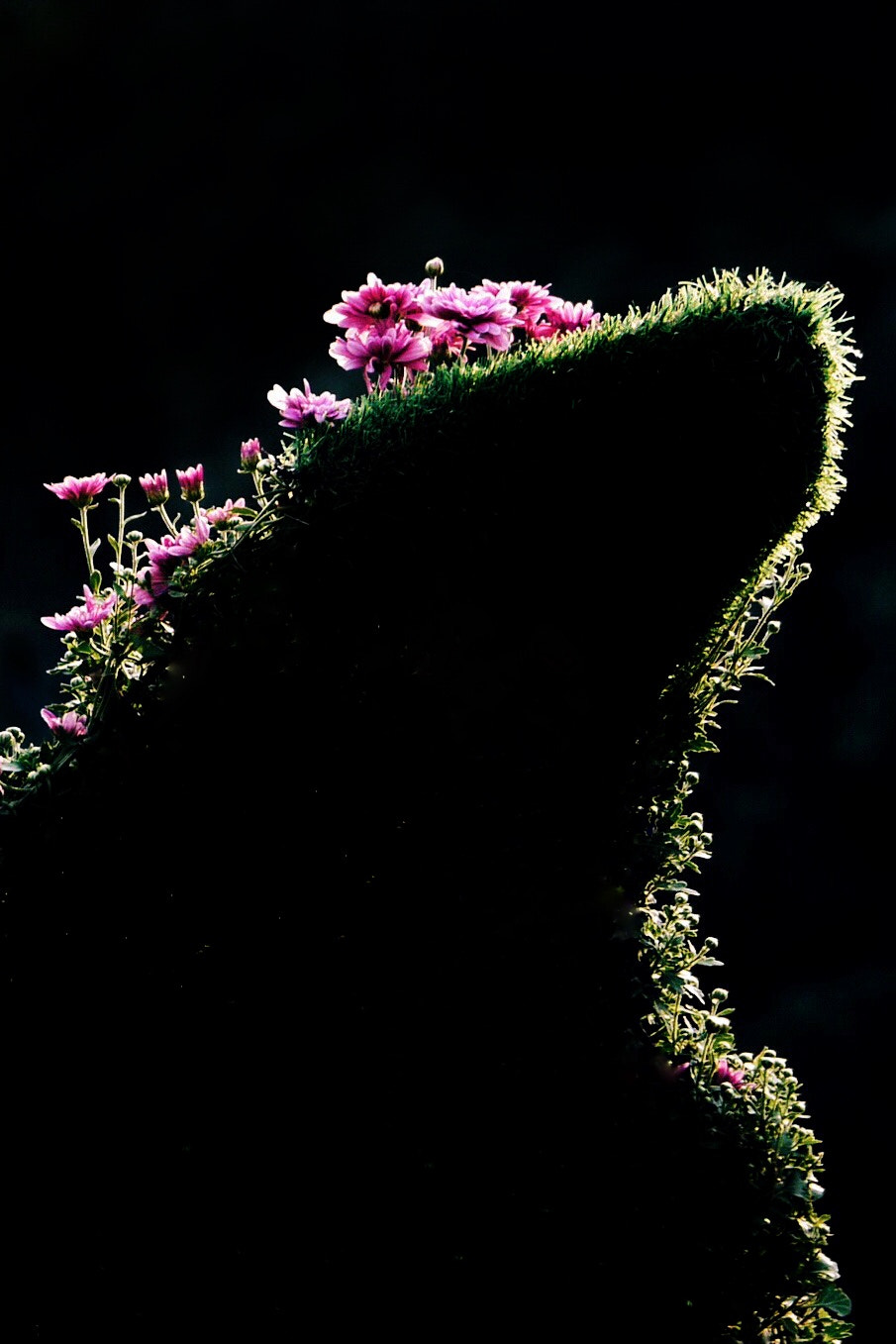 Panasonic Lumix G X Vario 35-100mm F2.8 OIS sample photo