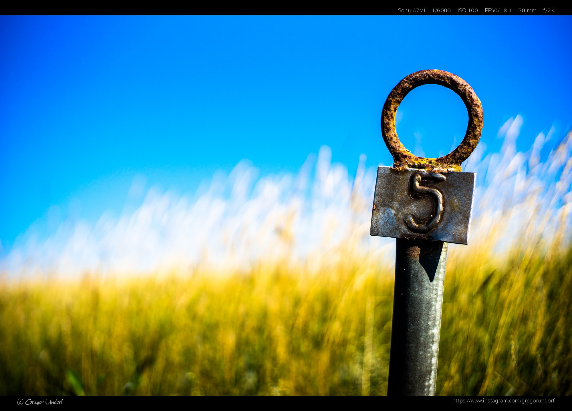 Sony a7 II + Canon EF 50mm F1.8 II sample photo. Diekskiel photography