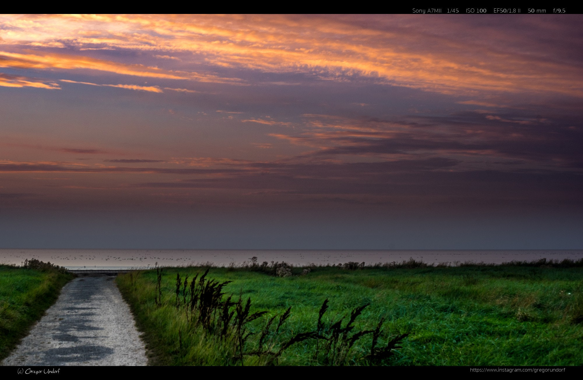 Canon EF 50mm F1.8 II sample photo. Diekskiel photography