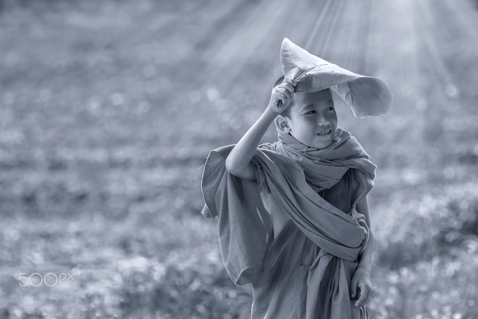 Sigma 85mm F1.4 EX DG HSM sample photo. Black and white photography
