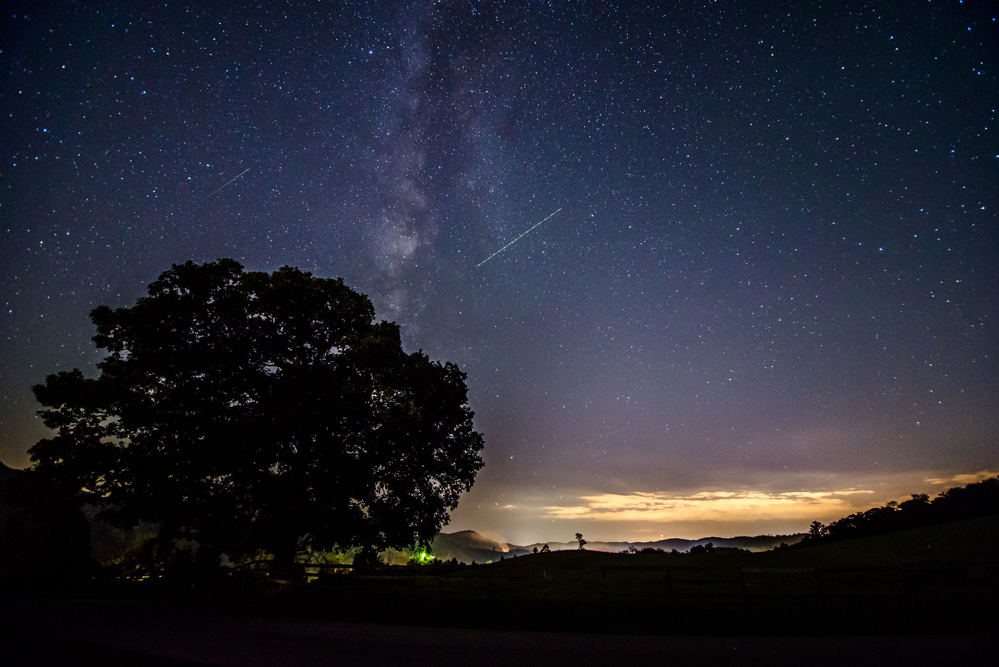 Nikon D600 sample photo. Milky way and trees photography