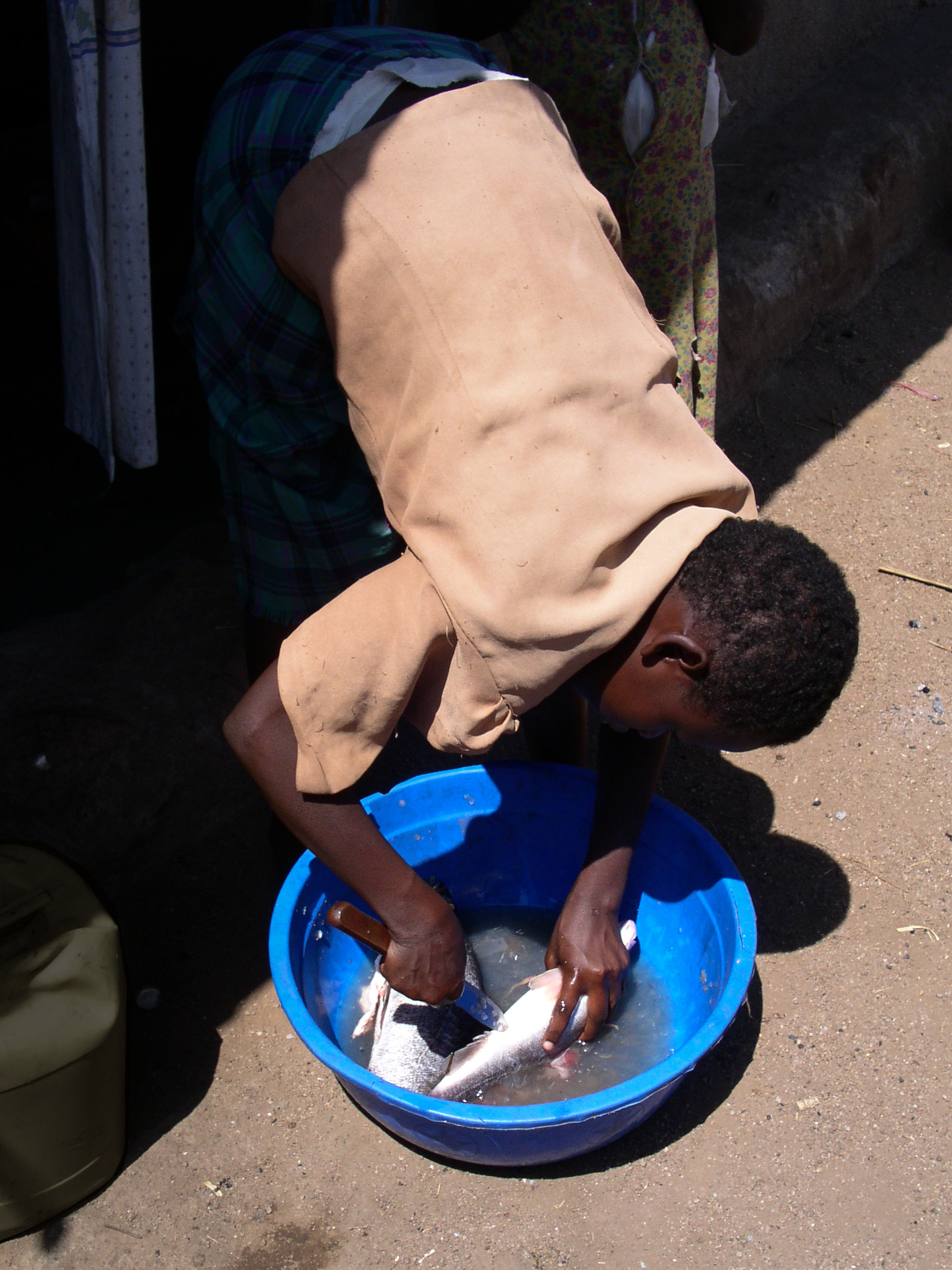 KONICA MINOLTA DiMAGE F300 sample photo. Kenya fish photography