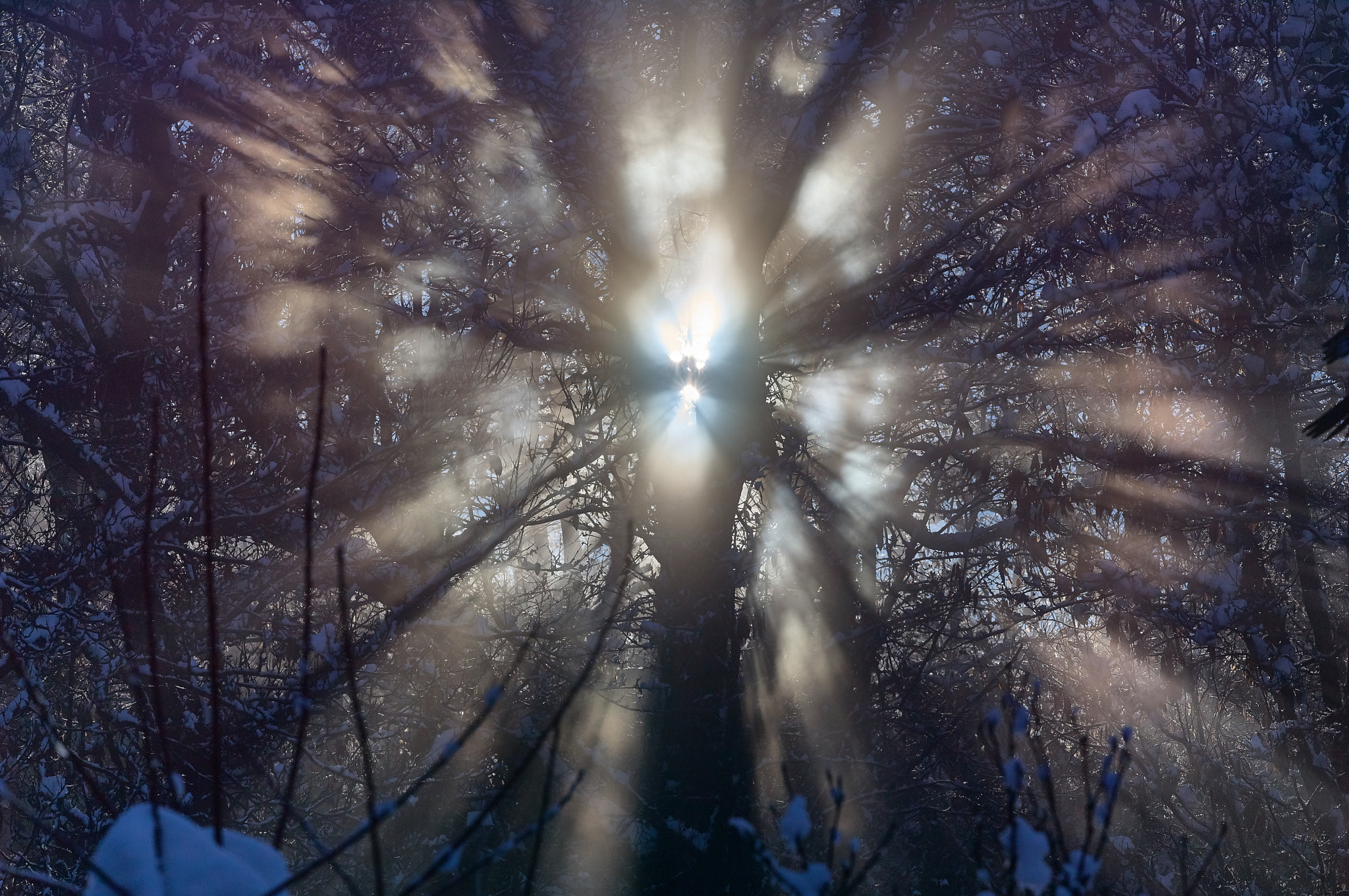 Leica S (TYP 006) sample photo. Giochi di luce photography