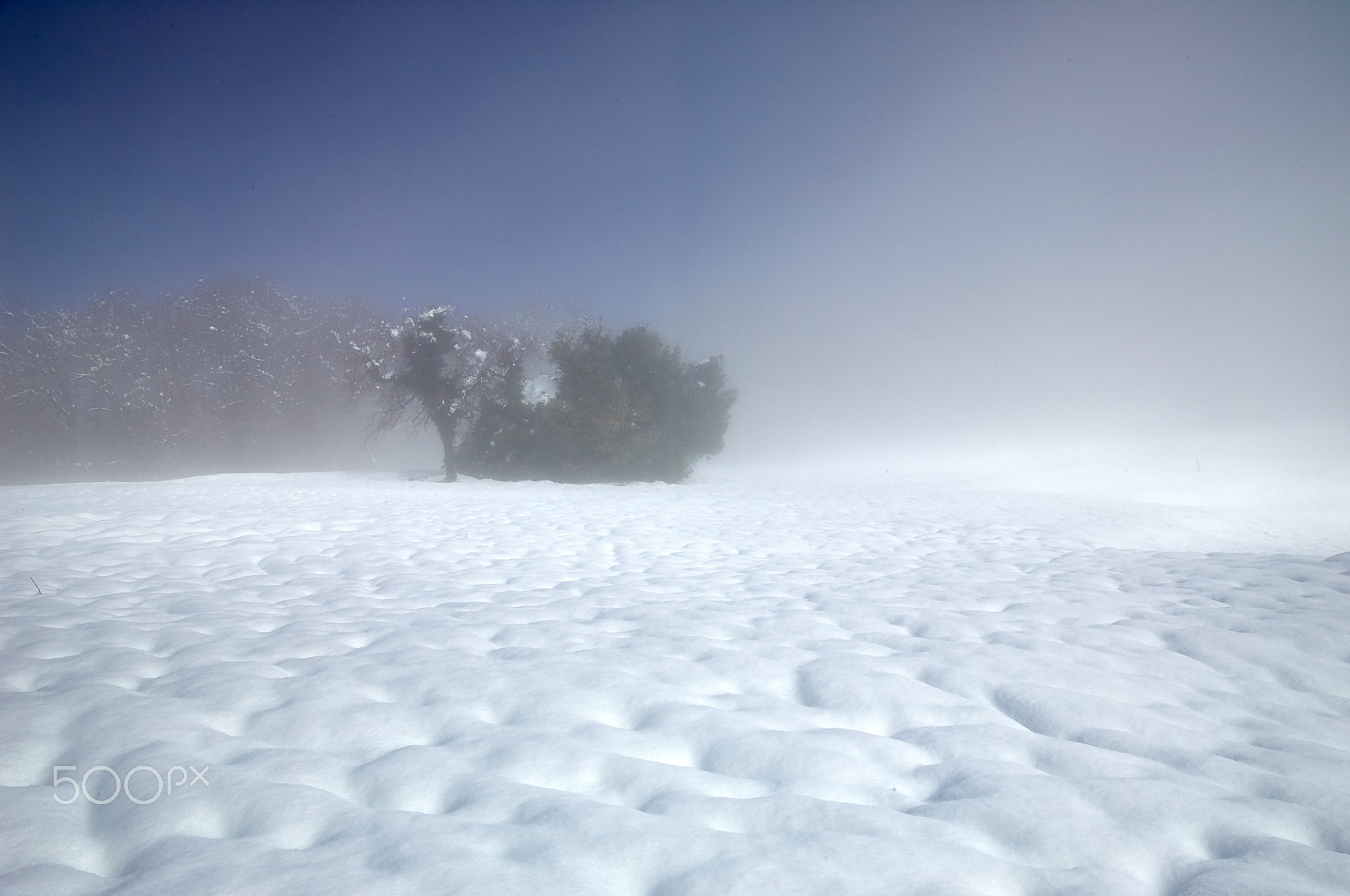 Leica S (TYP 006) sample photo. Luce,  gocce d'acqua, nebbia photography